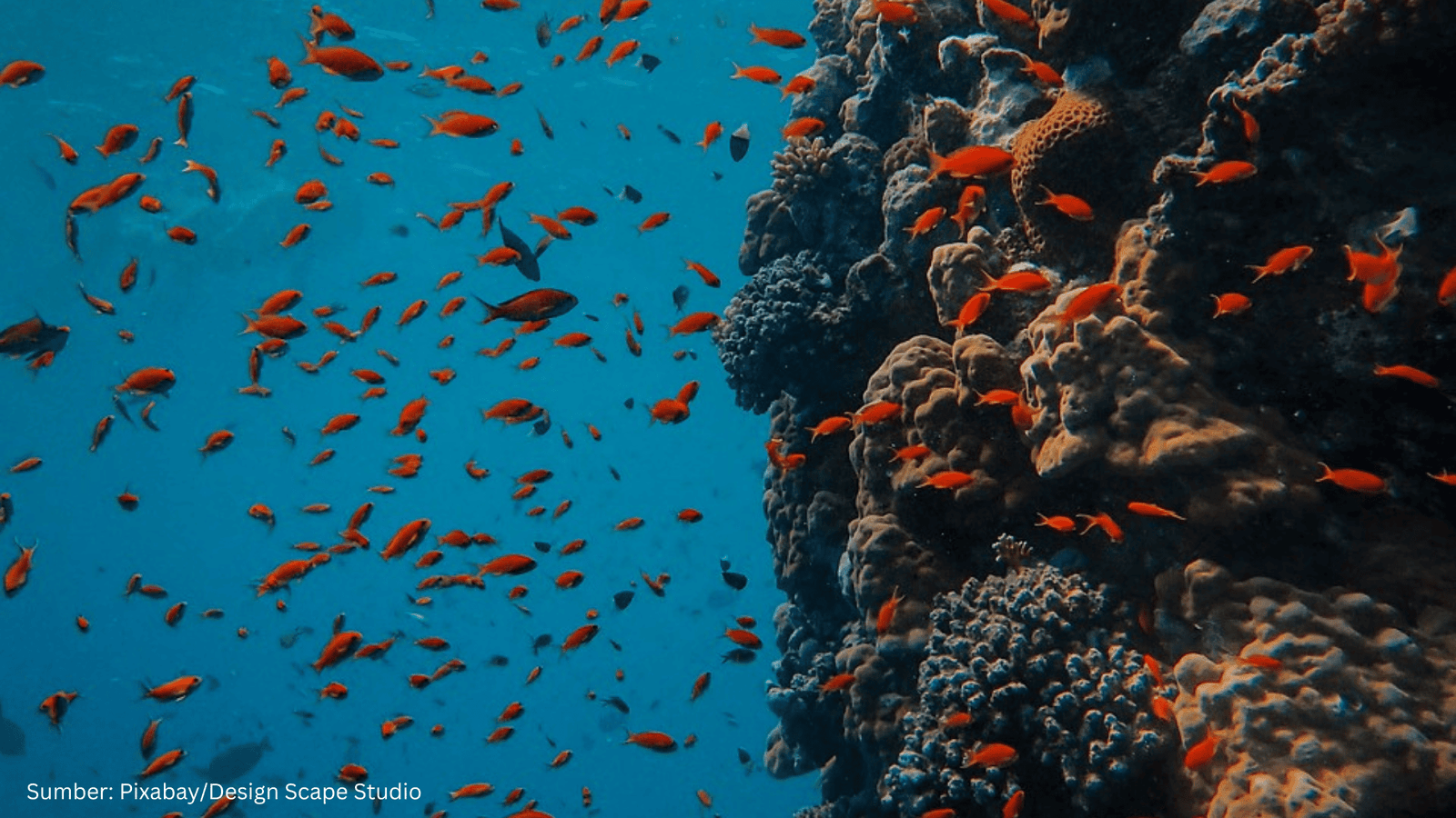 Ghana Gelar Perencanaan Spasial Laut, Dorong Kolaborasi Regional