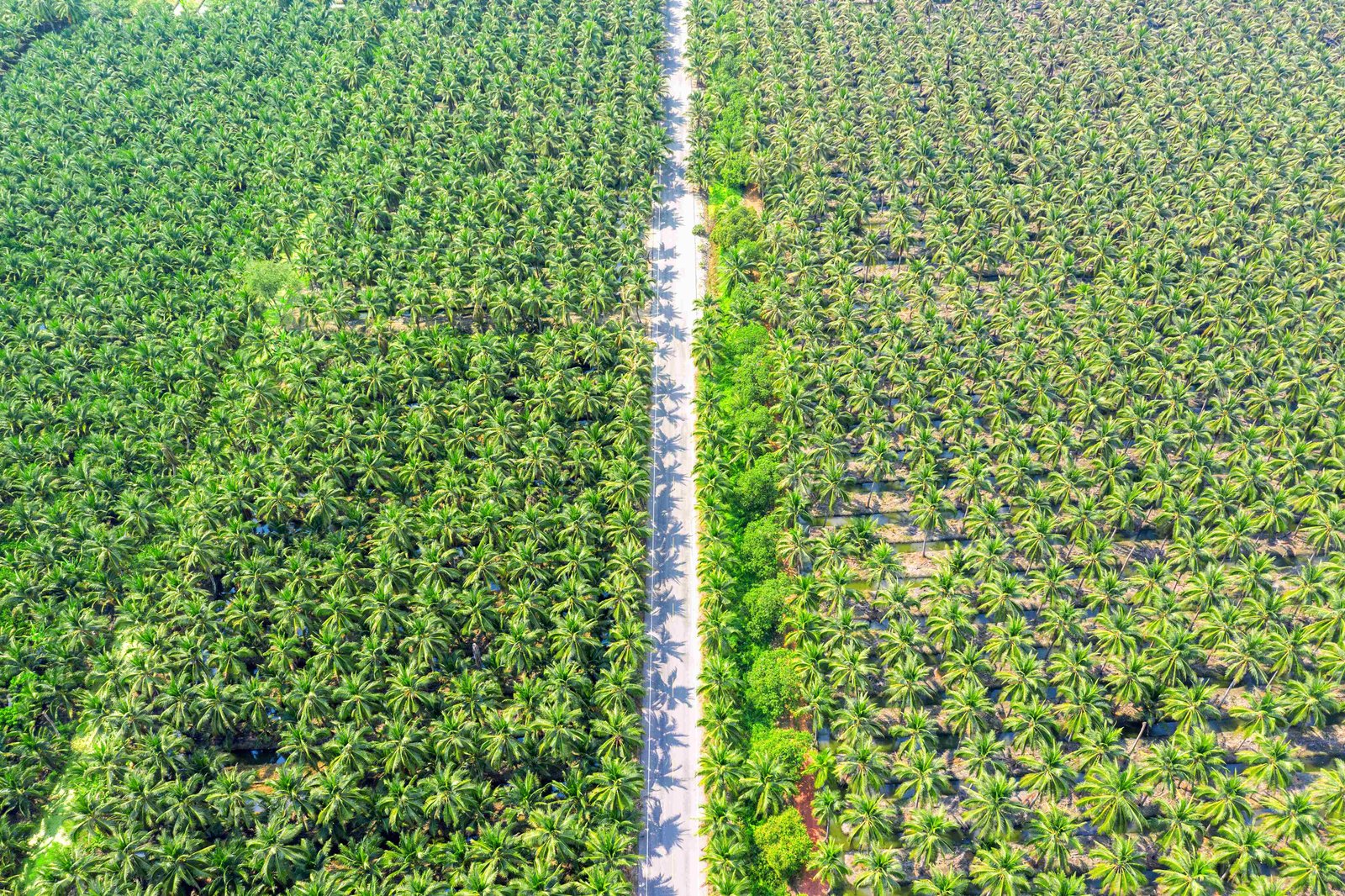 Perbatasan yang Samar: Konflik Agraria dan Peran Sistem Informasi Geografis