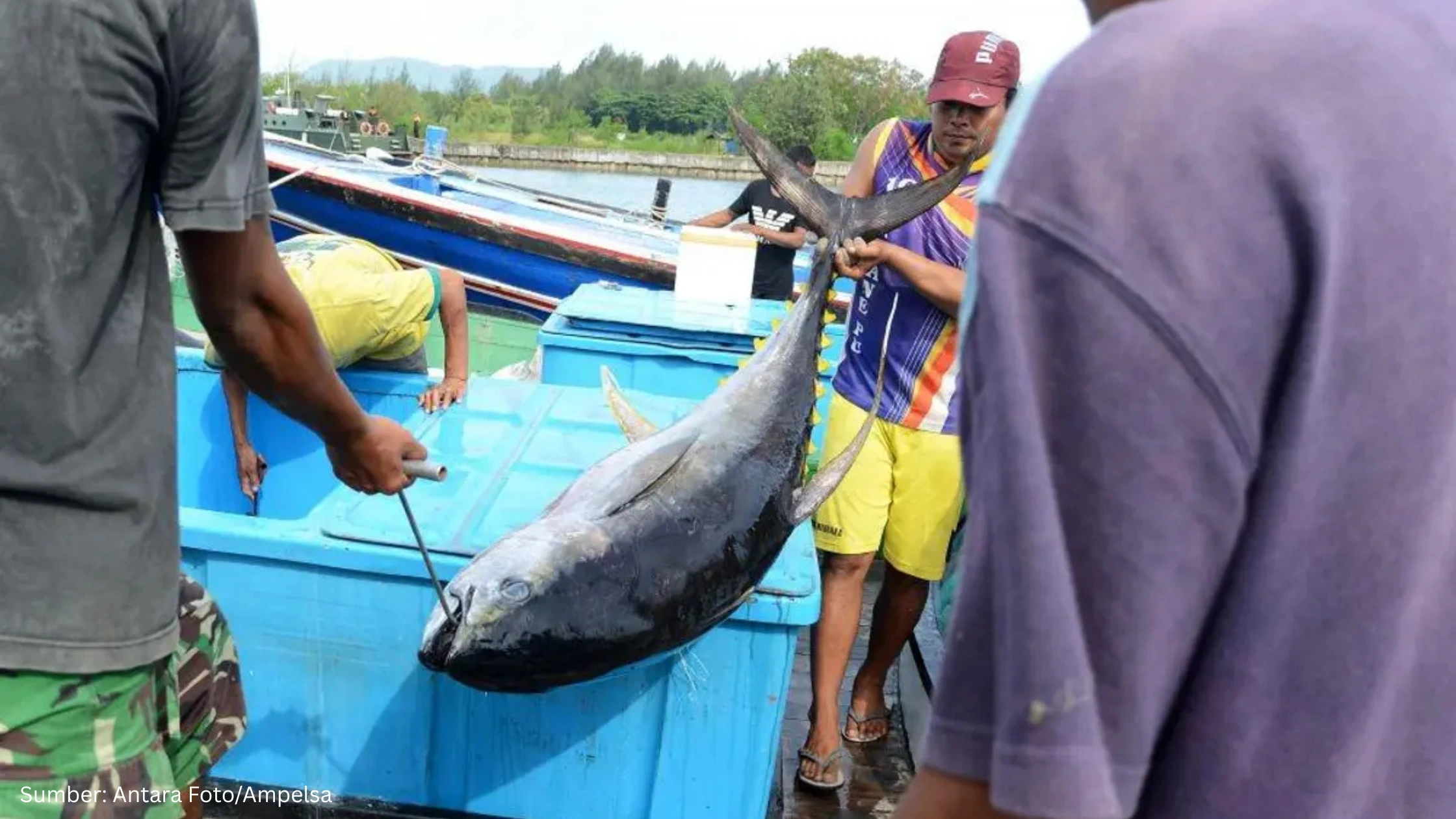 Kabupaten Berau Manfaatkan Teknologi Geospasial untuk Pengelolaan Perikanan