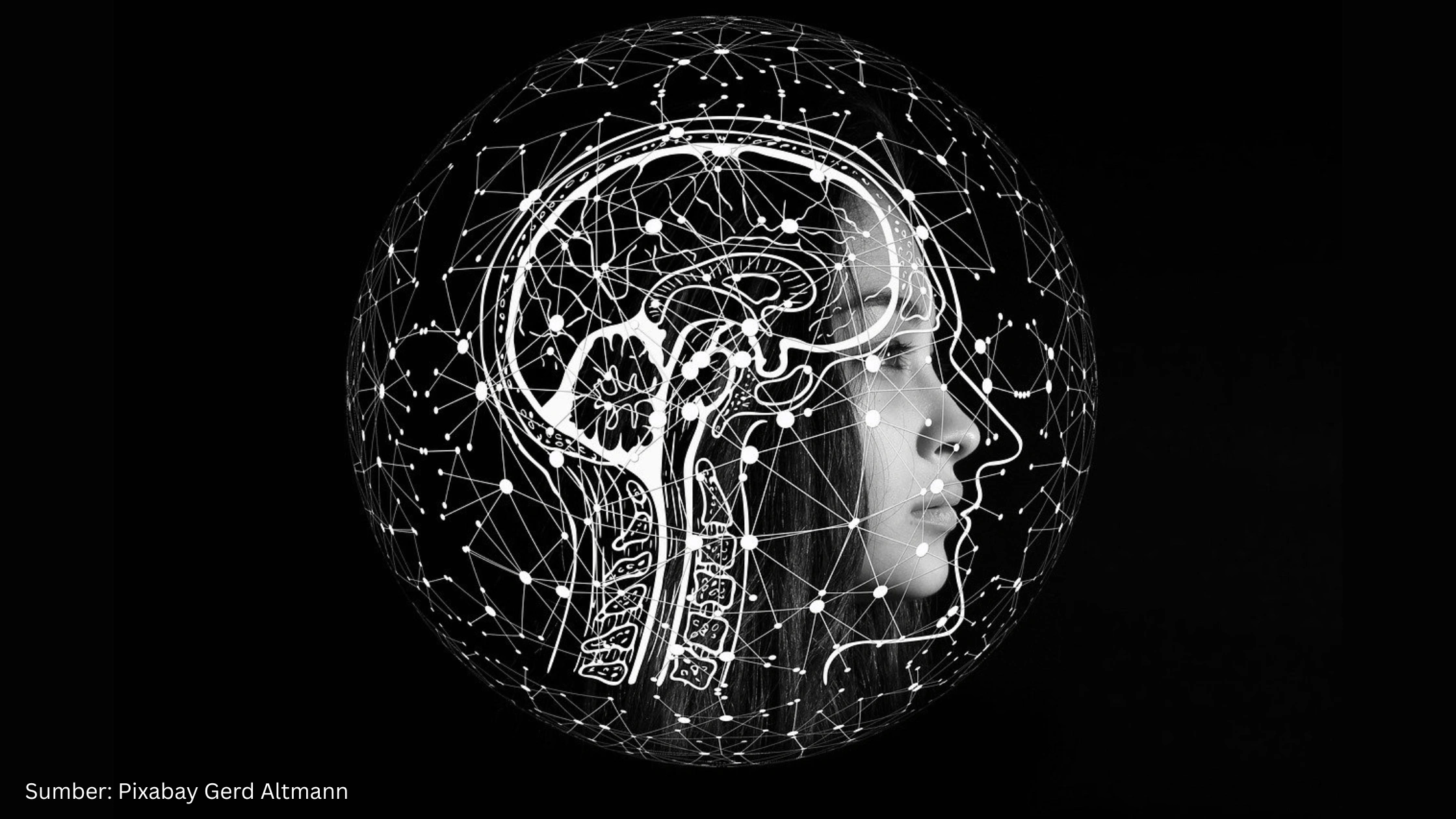 Pakar Ini Sebut Spatial Intelligence Jadi Kunci Evolusi AI