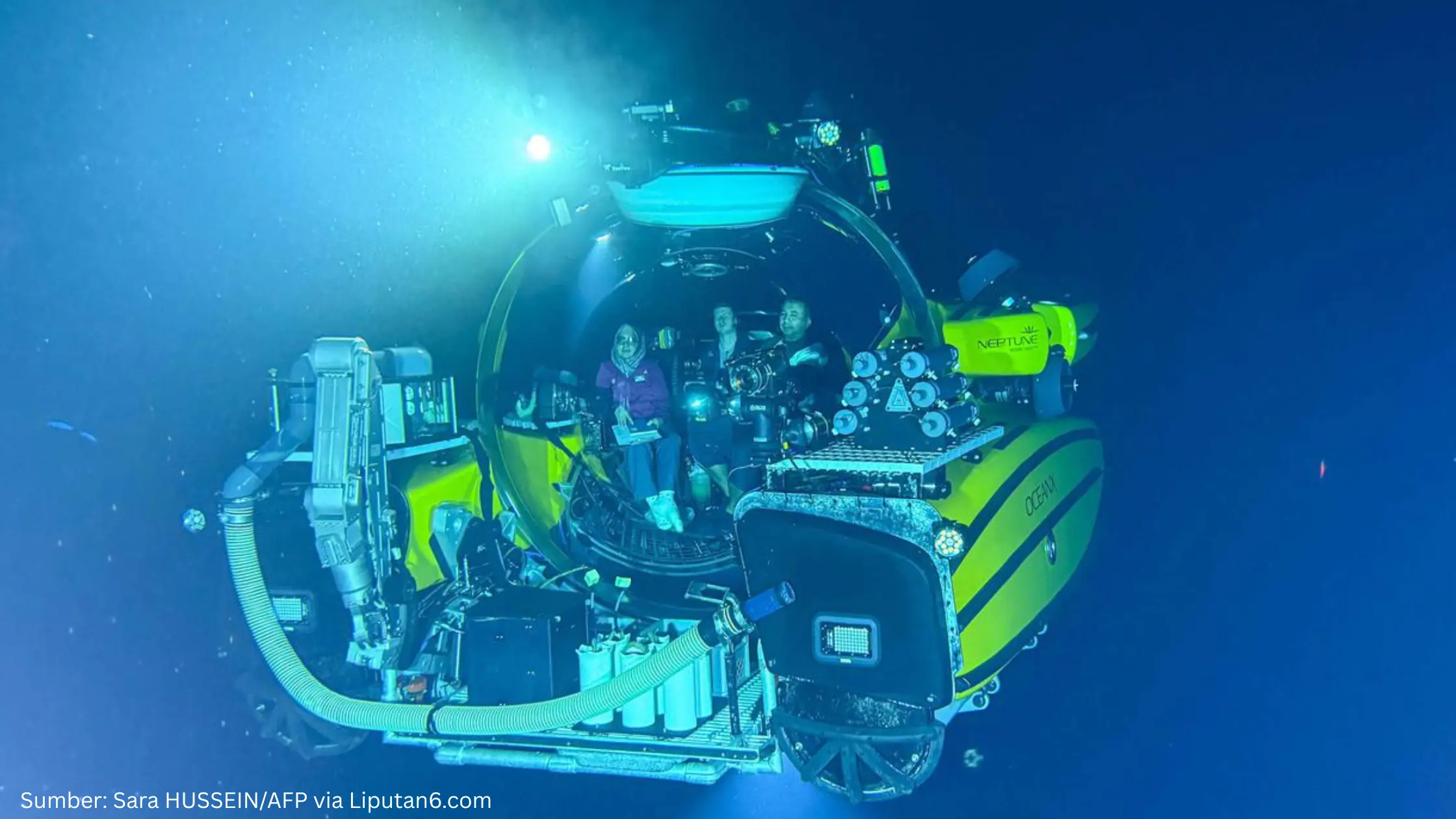 Kolaborasi Pemetaan Bawah Laut Sulawesi oleh BRIN dan OceanX Ungkap 14 Spesies Megafauna Baru - Gambar 1