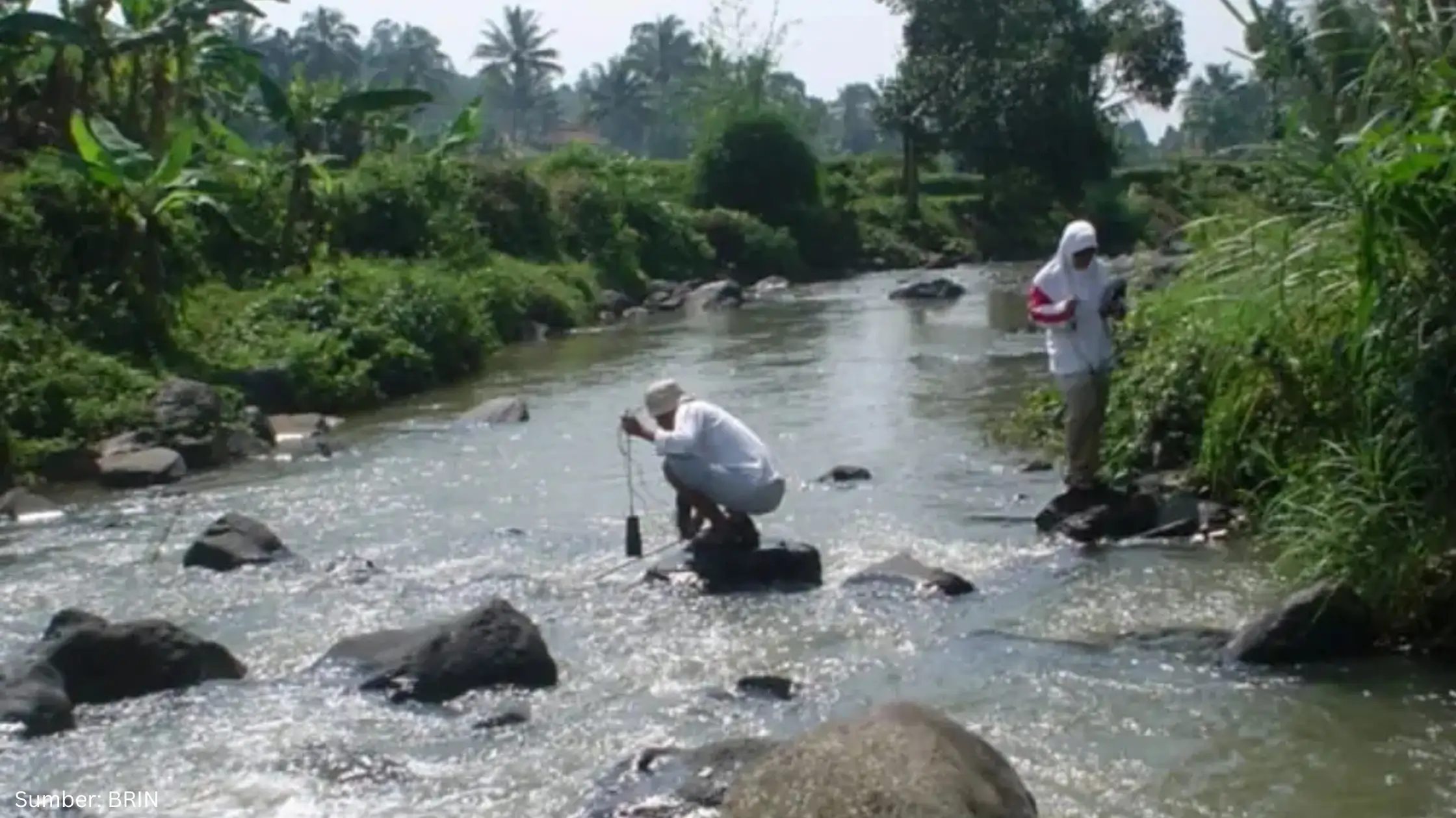 BRIN Siapkan Skenario Mitigasi untuk Sungai Cisadane yang Tercemar Pestisida - Gambar 1