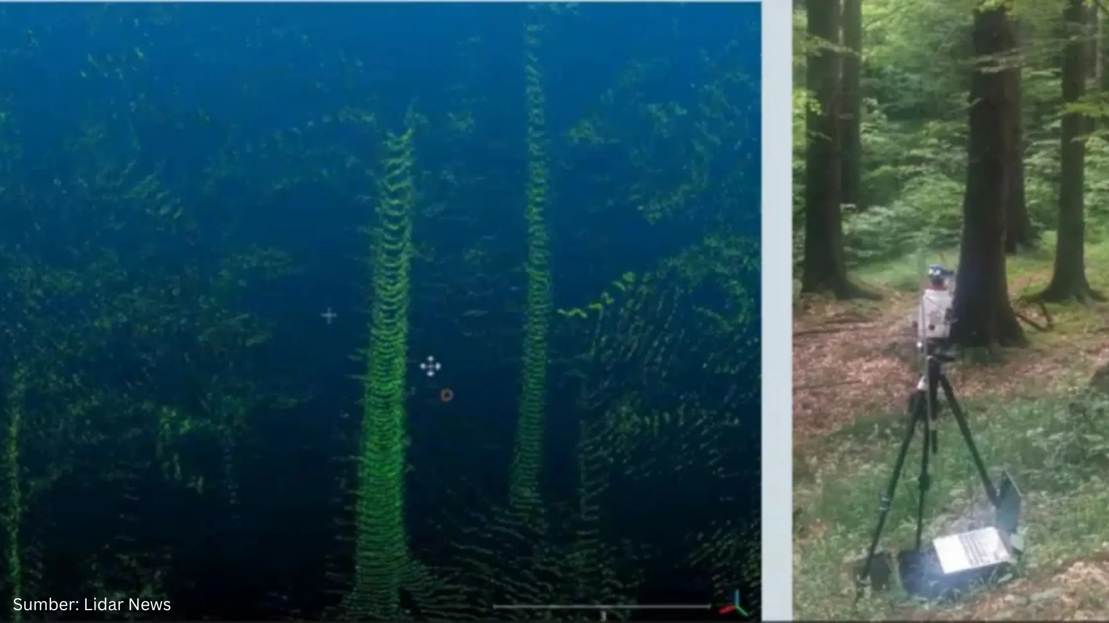 Kini LiDAR dan AI Mampu Dorong Pengelolaan Reboisasi Hutan Berkelanjutan - Gambar 2