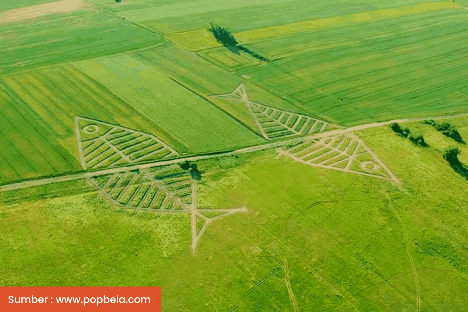 5 Batas Negara Paling Unik di Dunia