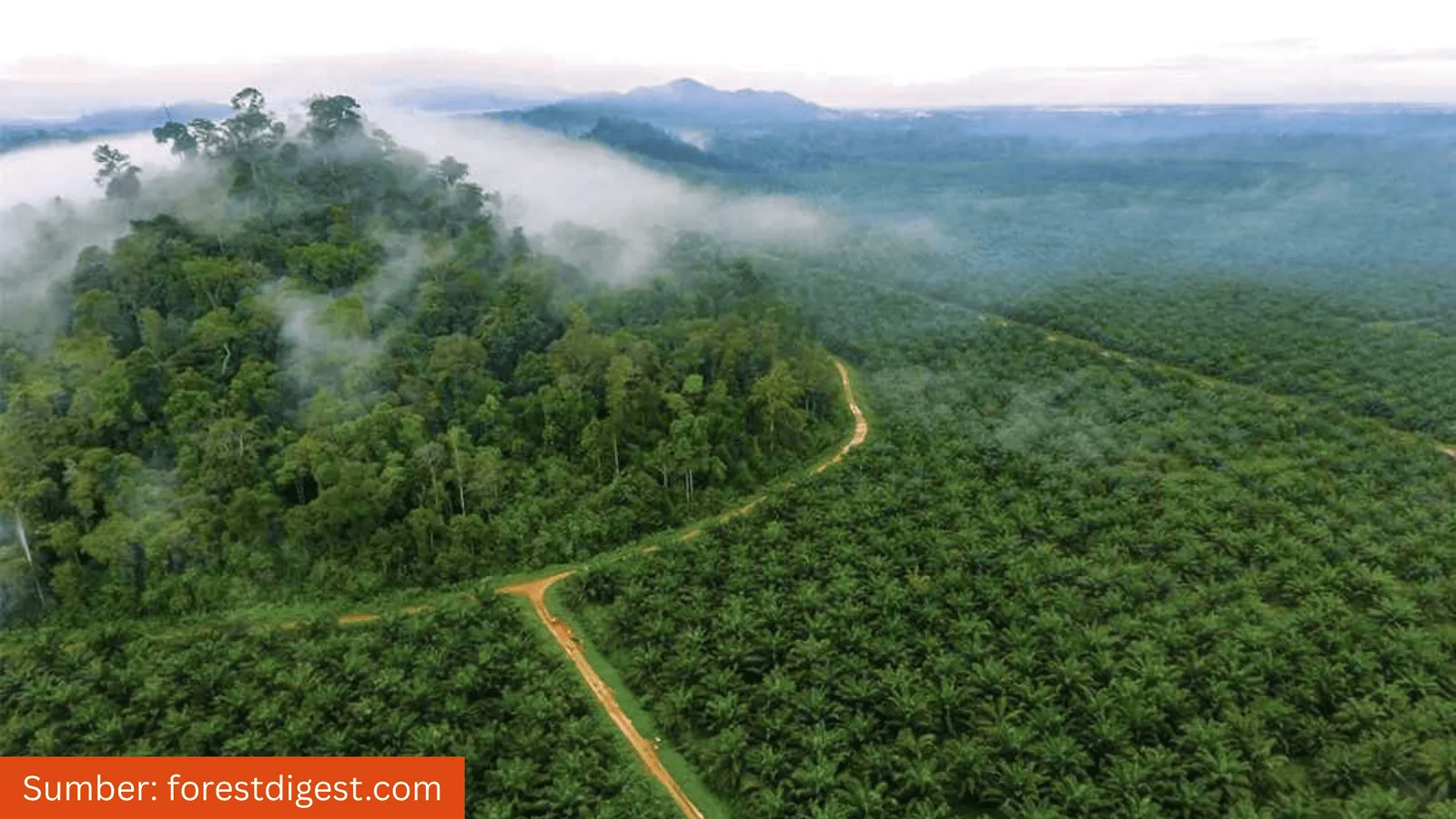 Akankah ILASP Jadi Alat Baru Pemerintah Menertibkan Lahan?