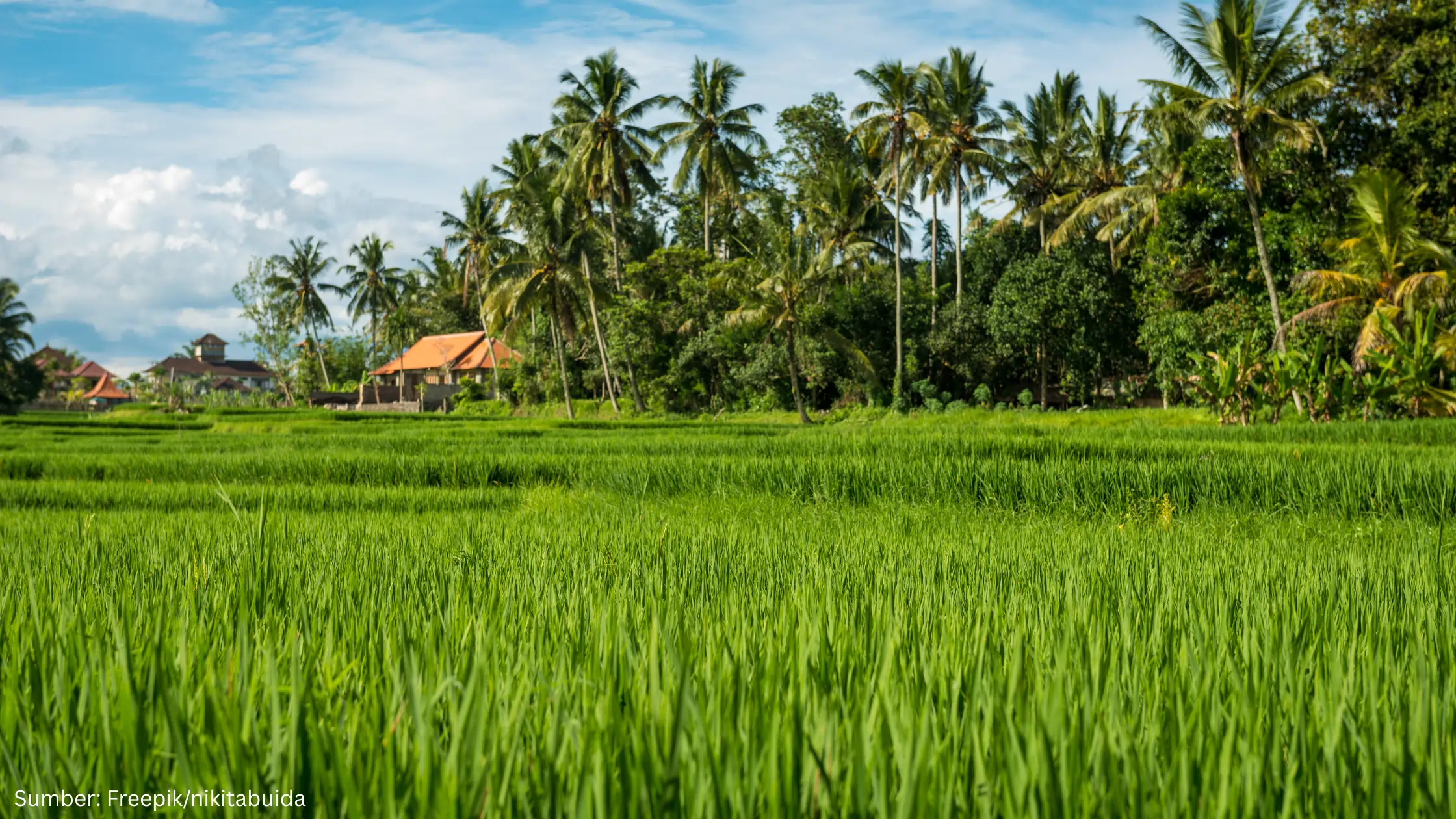 Anggota DPR RI: Produktivitas Lahan Pertanian Tidak Cukup, Perlu Reforma Agraria