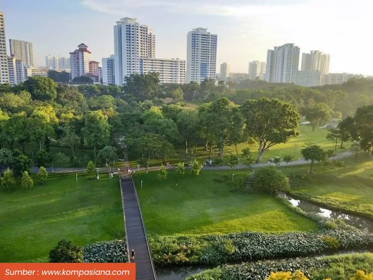 Bagaimana Teknologi Geospasial Mendorong Infrastruktur Hijau?