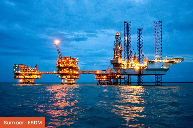 Bidang Ini Manfaatkan Geospasial untuk Efisiensi, Apa Saja?