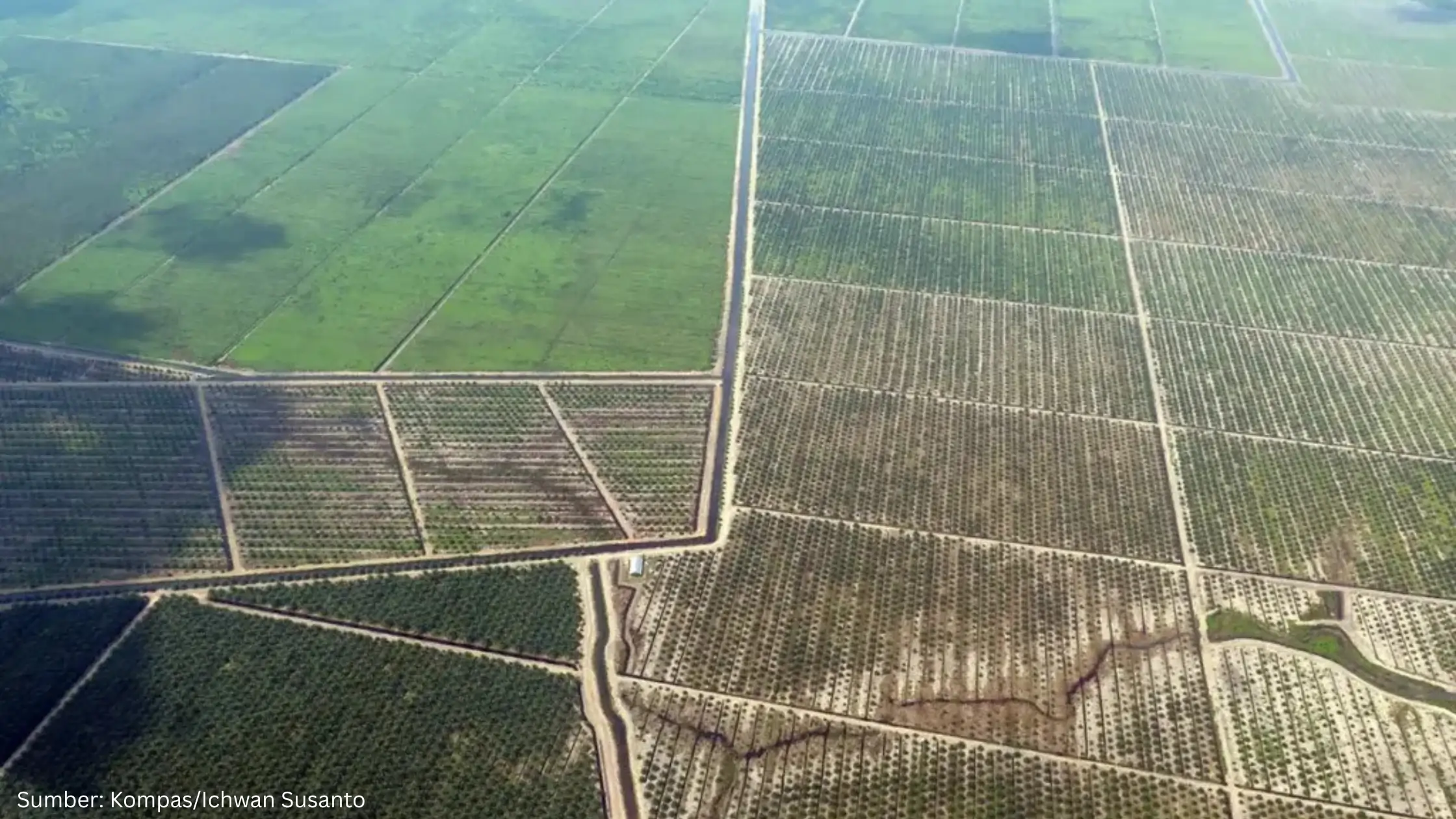 BIG Tempatkan Data Geospasial sebagai Senjata Negara untuk Menertibkan Korporasi Sawit