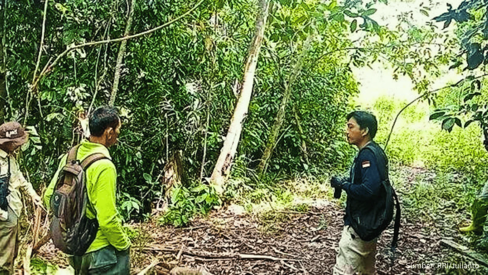 BKSDA Lakukan Pemetaan Satwa Liar untuk Lindungi Jalur Alami