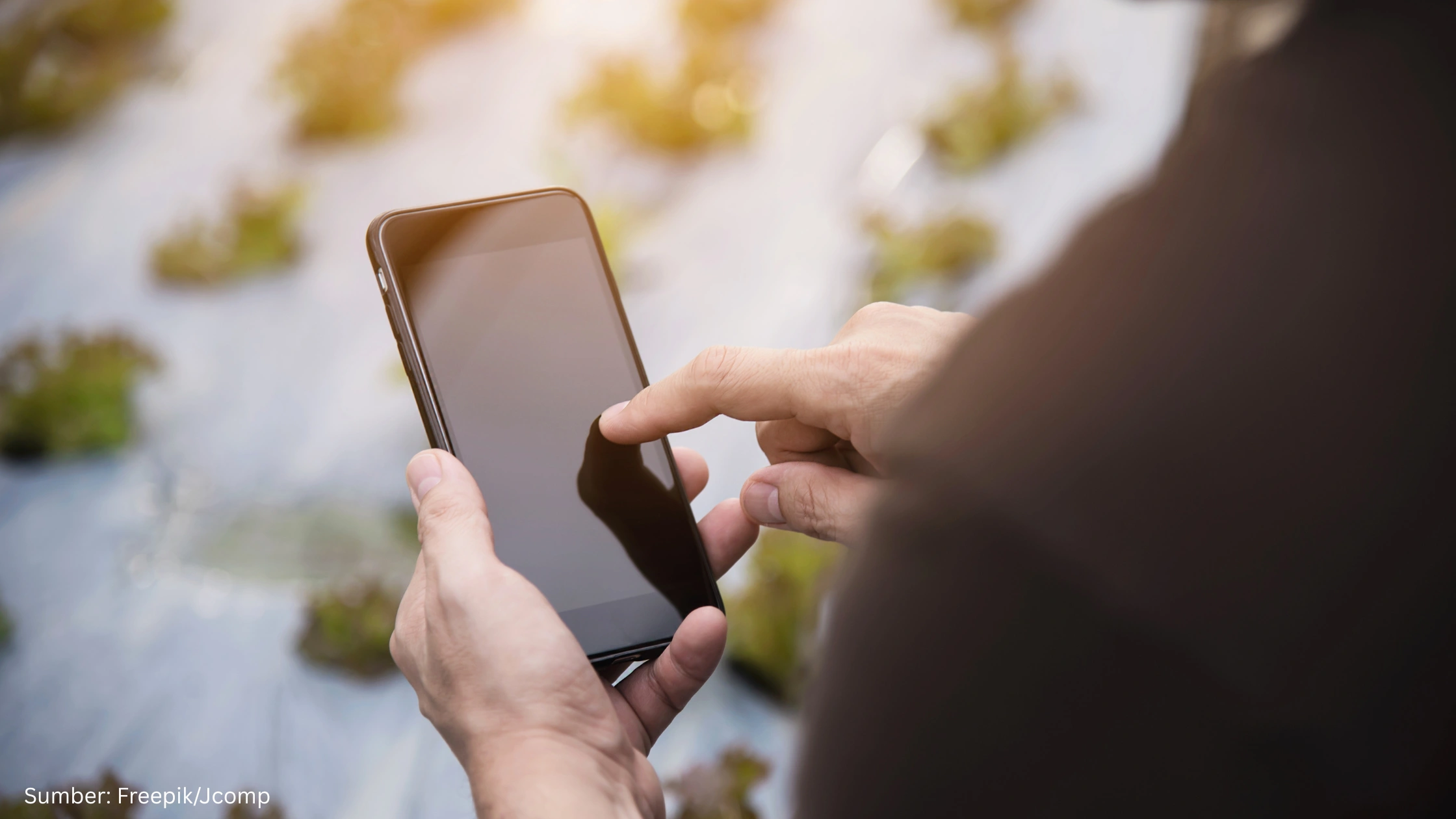 BMKG Perkuat Ketahanan Pangan Lewat Layanan Geospasial Digital AWIS bagi Petani