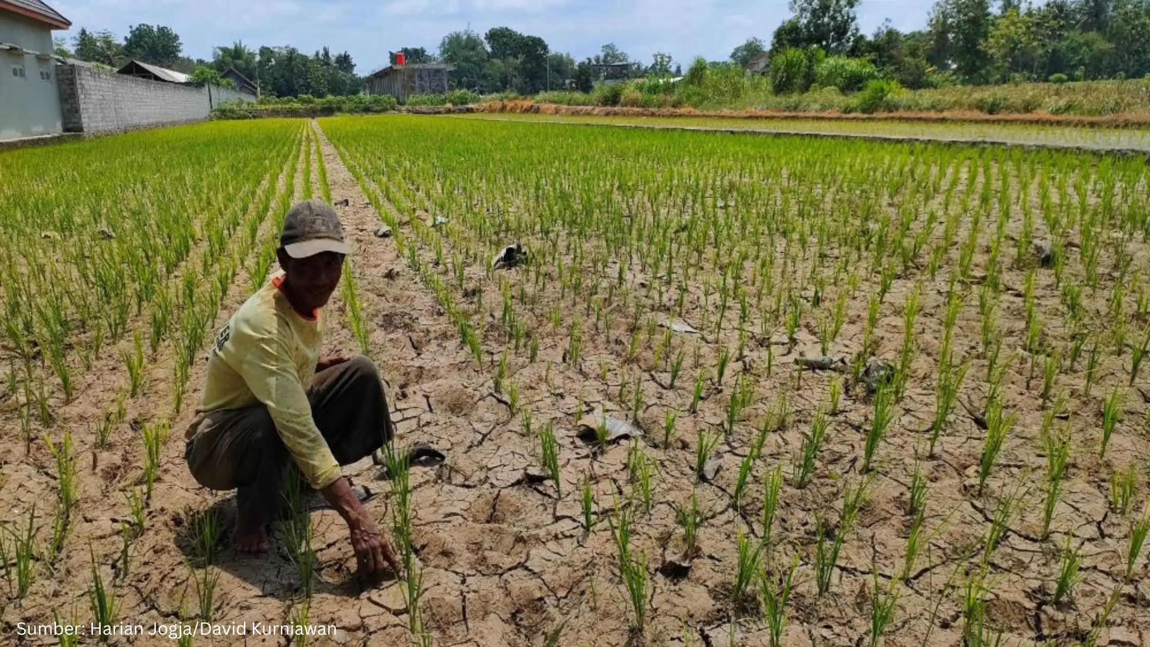 BPBD Bantul Petakan Zona Rawan Kekeringan untuk Hadapi Ancaman El Nino Godzilla