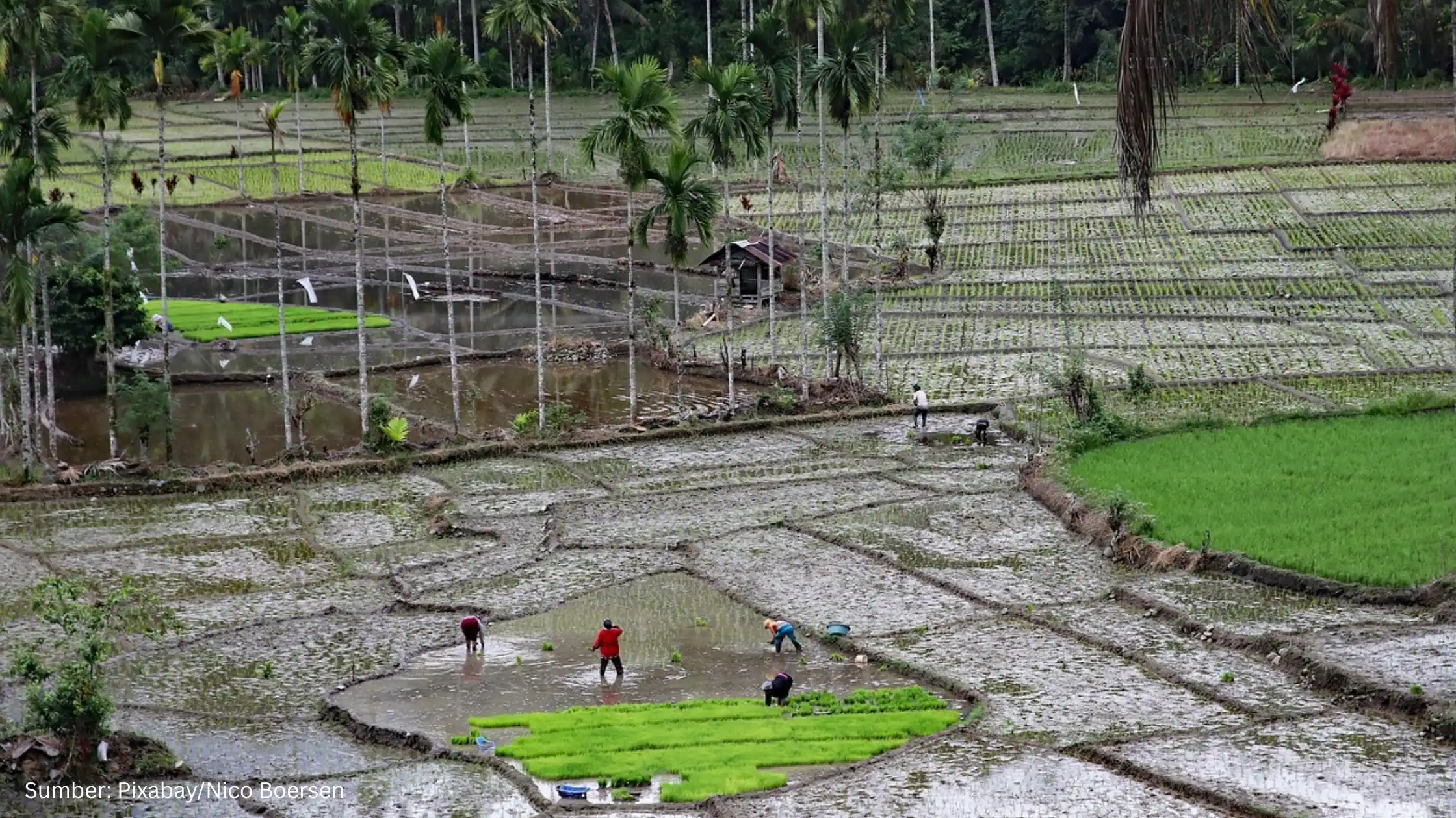 Dorong Program ILASPP, BIG Konsolidasikan Data Spasial untuk Atasi Isu Lahan Transmigrasi