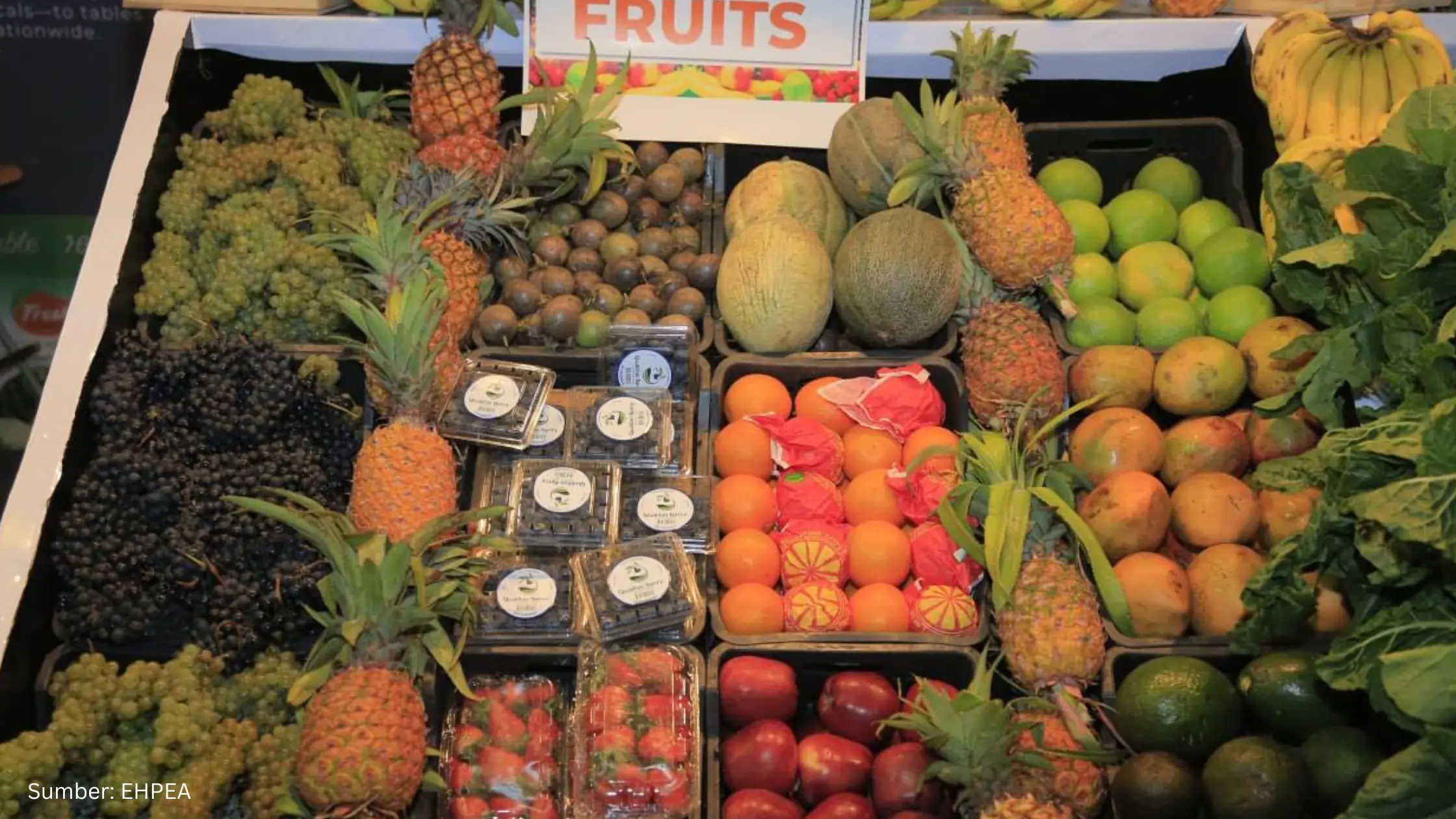 Etiopia Manfaatkan Geospasial Mapping untuk Percepatan di Sektor Hortikultura