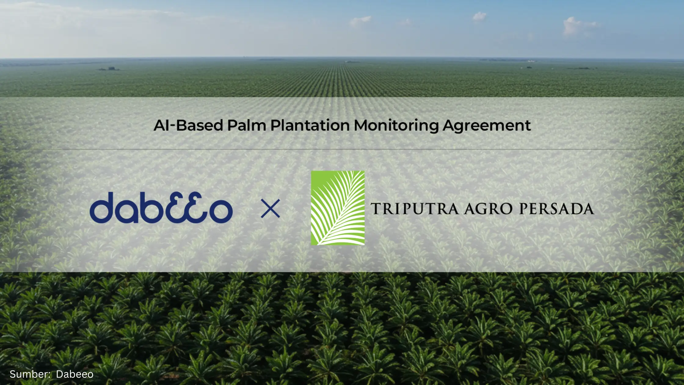 Garap Perkebunan Sawit Indonesia dengan Spasial AI, Dabeeo Perluas Jaringan hingga Triputra Agro Persada