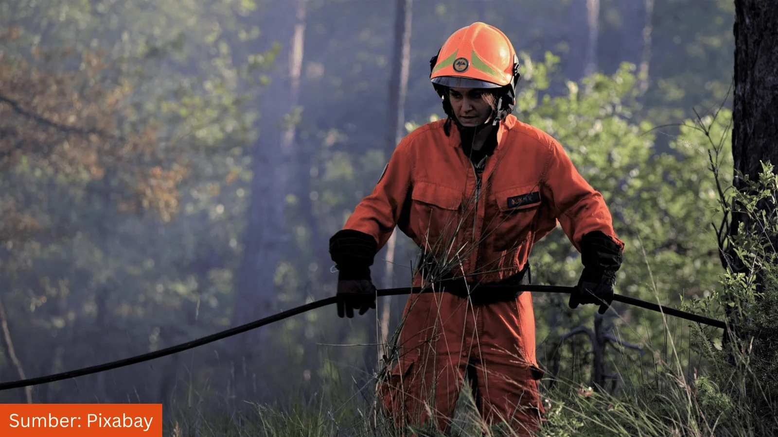 Ini Tiga Peran Pemetaan dalam Merespons Situasi Darurat