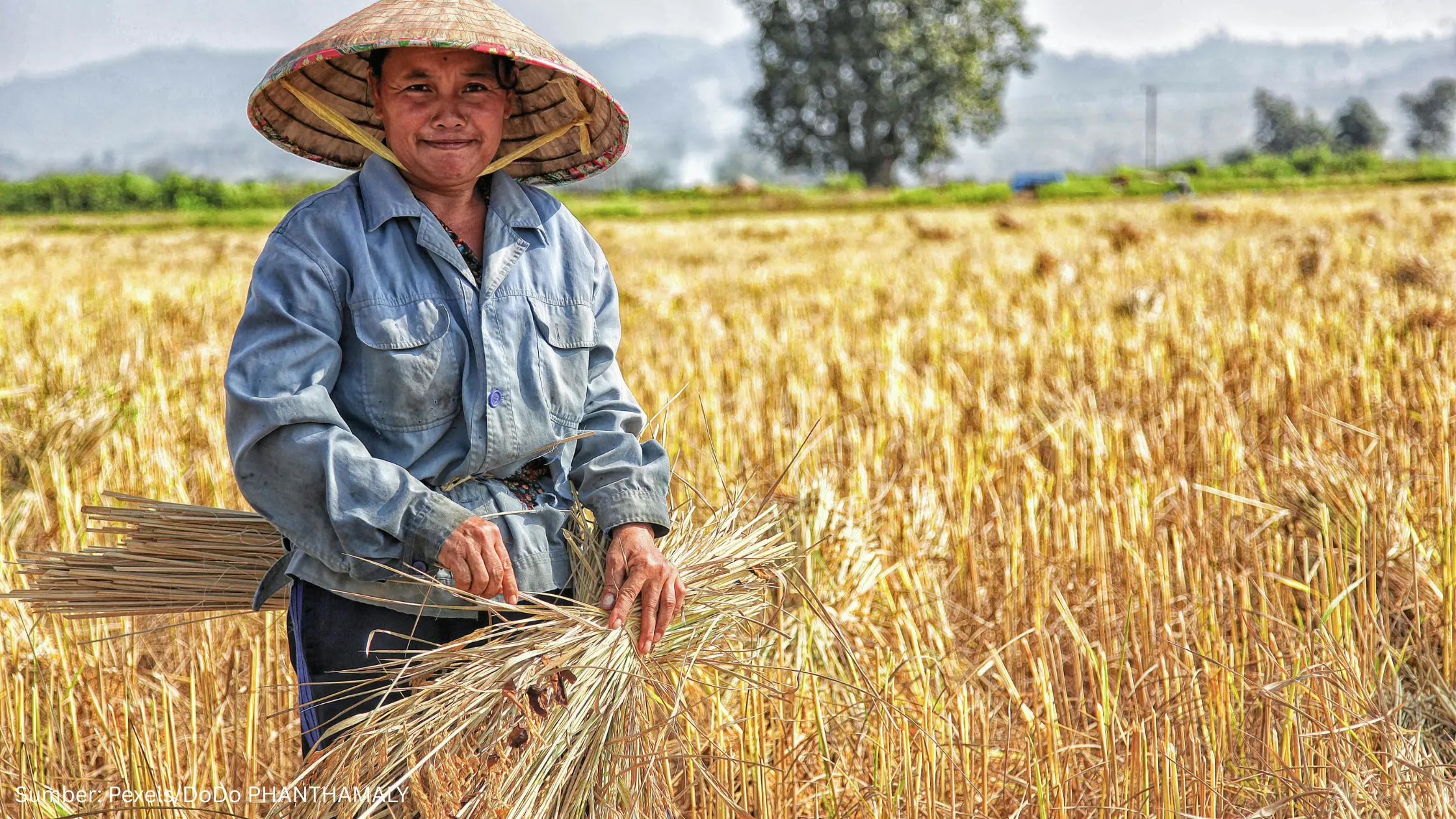 IPB Kembangkan Platform Pemantau Cuaca Lokal untuk Petani dan Nelayan