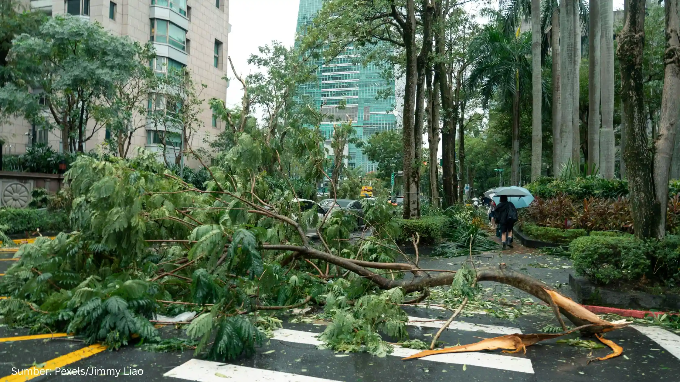 Kenali Terbentuknya Topan Ragasa yang Terjang Filipina hingga Tiongkok