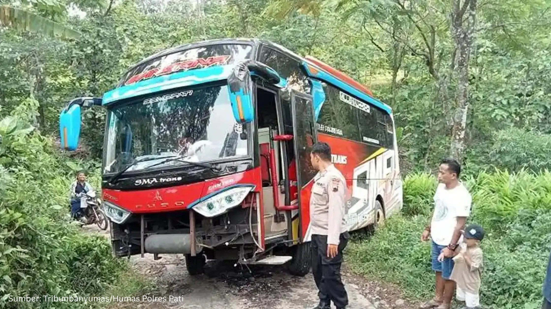 Ketika Google Maps Menyesatkan, Bus Peziarah Ini Nyasar ke Hutan di Pati