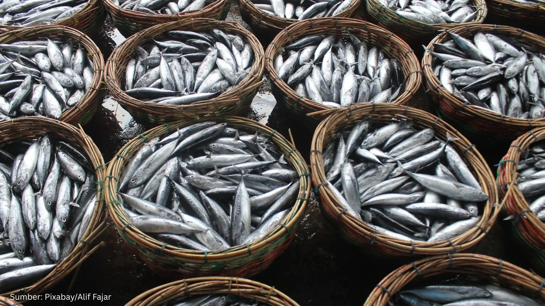 KKP Tegaskan Lautan Indonesia Jadi Ruang Ketahanan Pangan dan Kekuatan Ekonomi Maritim