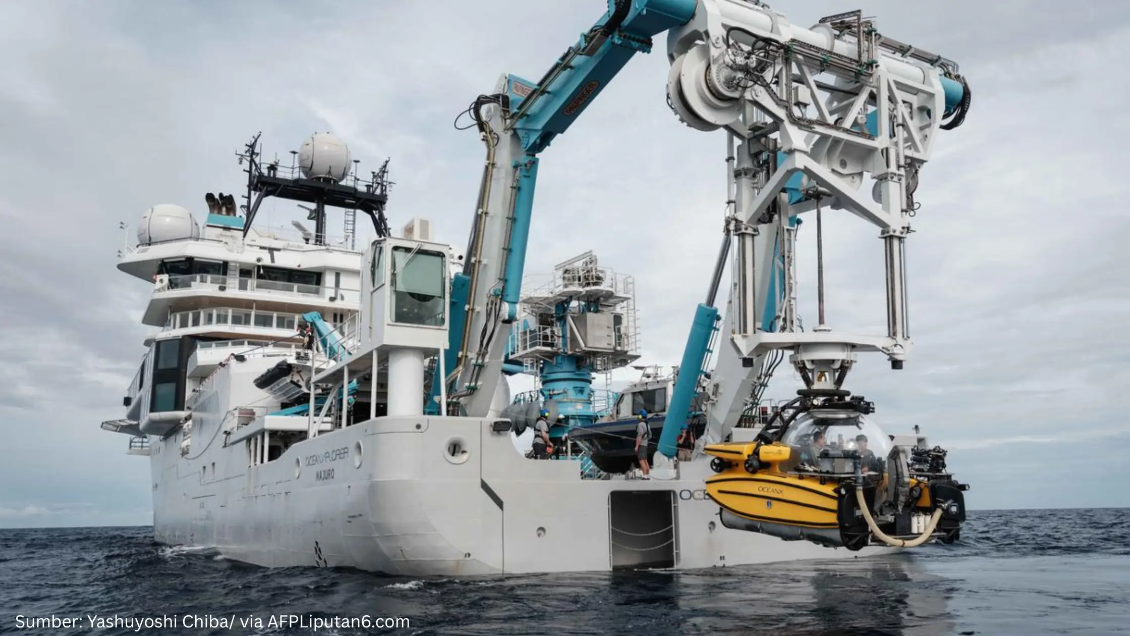 Kolaborasi Pemetaan Bawah Laut Sulawesi oleh BRIN dan OceanX Ungkap 14 Spesies Megafauna Baru