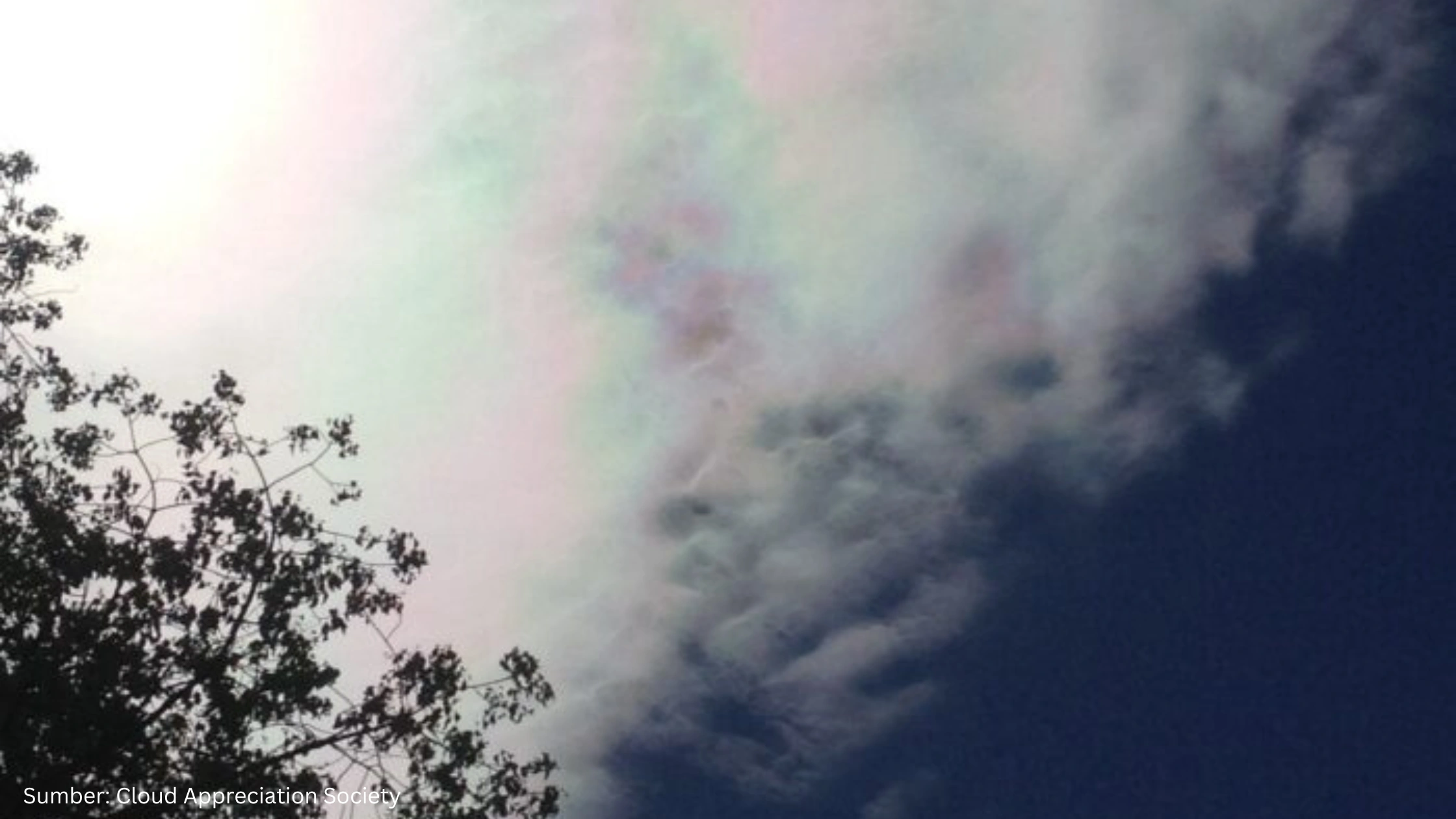 Langit Yogyakarta Berwarna Akibat Cloud Iridescence, Apa Itu?