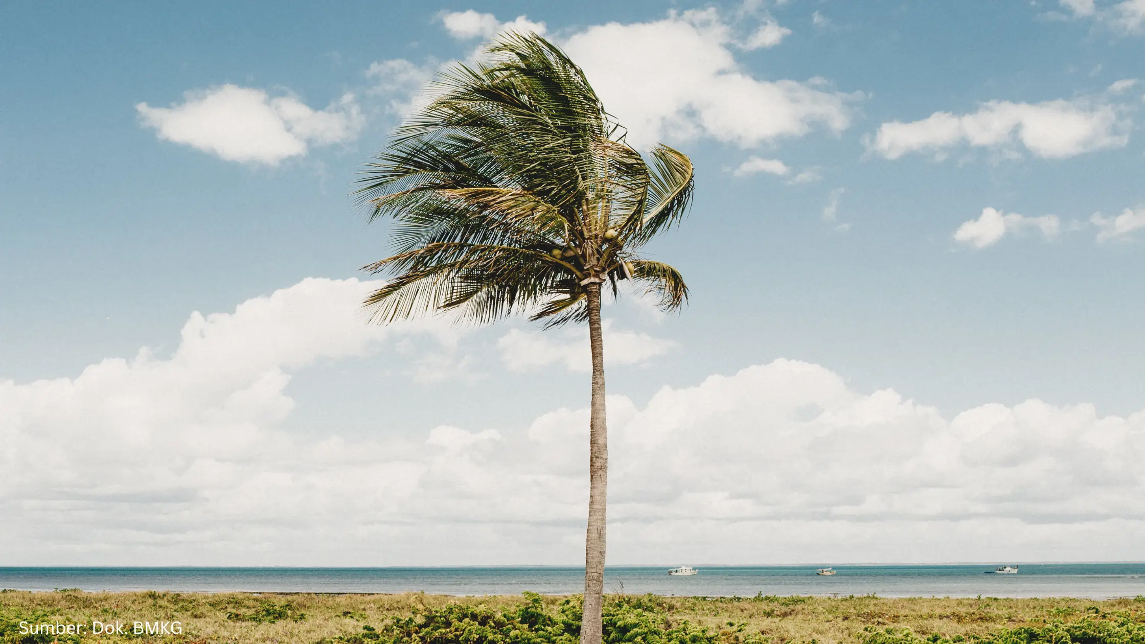 Makin Rentan dengan Siklon Tropis, BMKG dan BRIN Siapkan Sistem Prediksi Bencana Berbasis AI