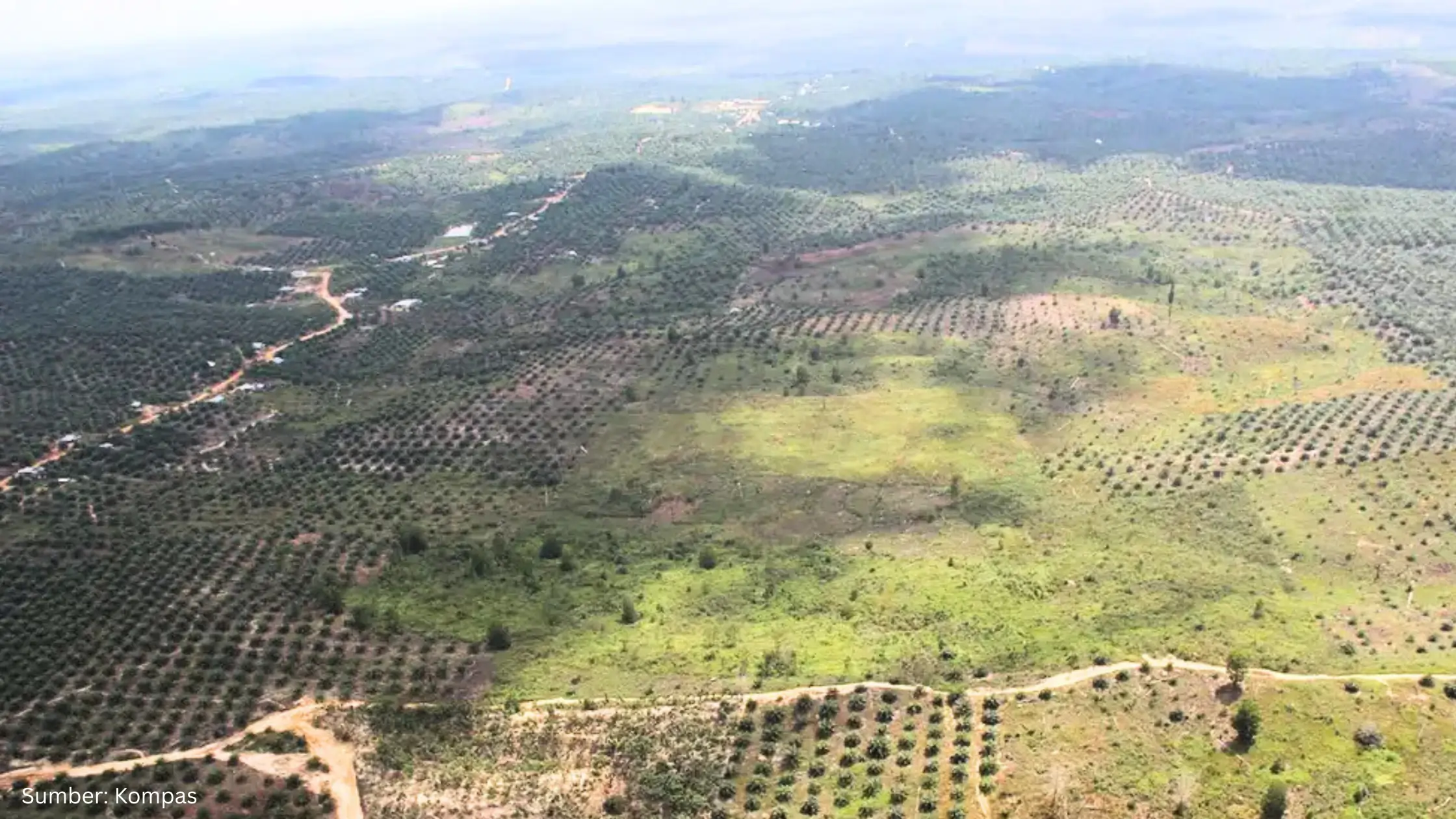 Membaca Krisis Tesso Nilo dari Peta, Radar, dan Citra Satelit