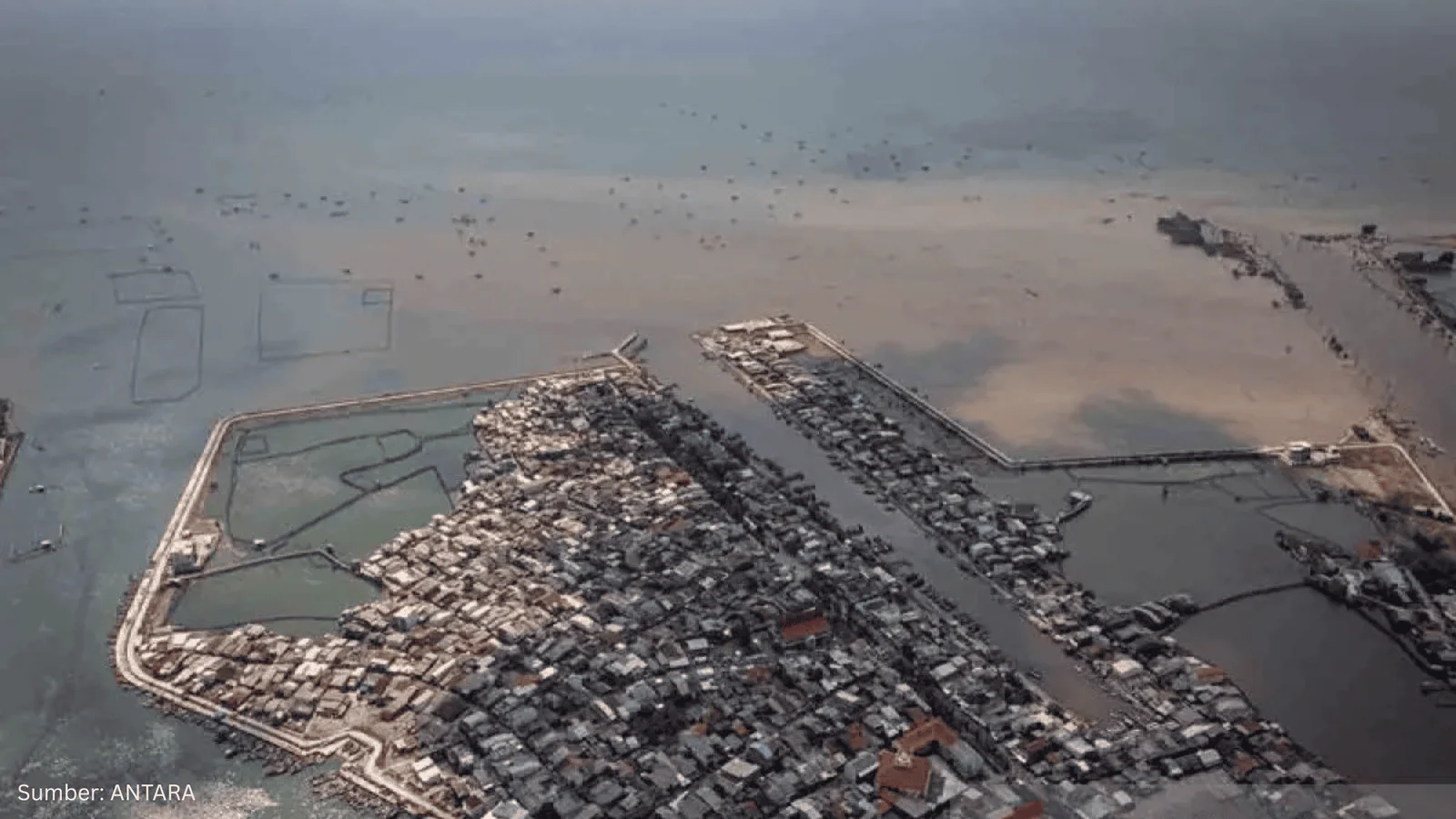 Menakar Efektivitas Giant Sea Wall untuk Atasi Banjir Rob di Pesisir Utara Jawa