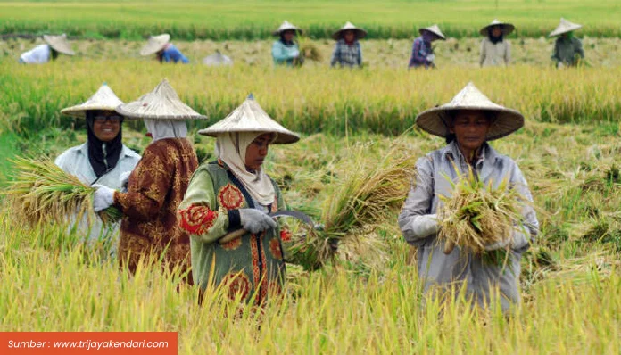 Mengulik Manfaat Data Spasial untuk Swasembada Pangan