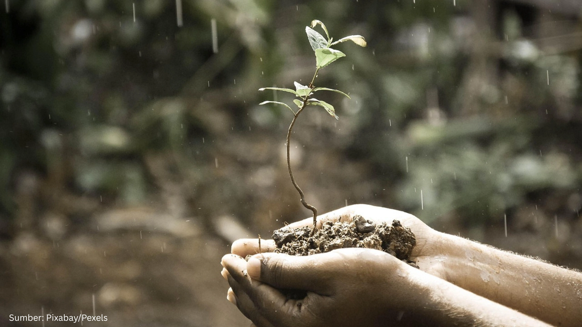 Menjawab Cocoklogi Bulan Berakhiran ‘Ber’ sebagai Penanda Musim Hujan dari Kacamata Geospasial