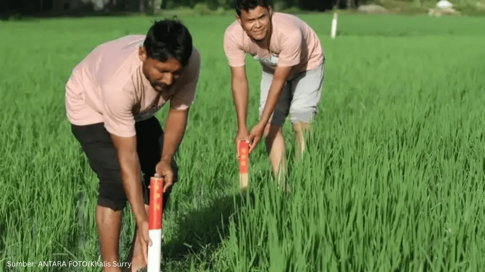 Menteri ATR/BPN Sebut Patok Batas Tanah Bisa Kurangi Tumpang Tindih Lahan
