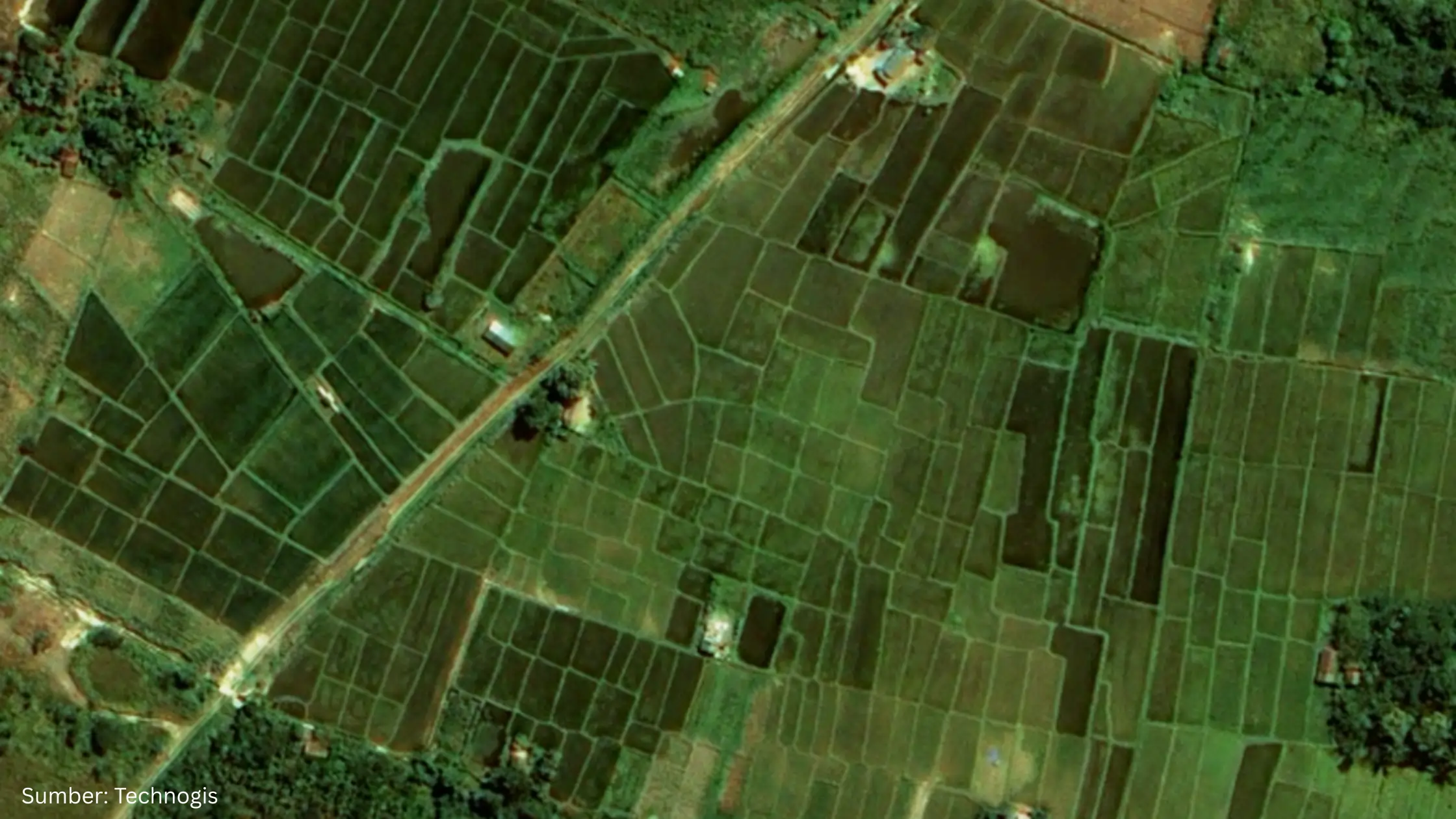 Modernisasi Pertanian, Distanak Kukar Manfaatkan Peta Digital lewat Google Earth Pro