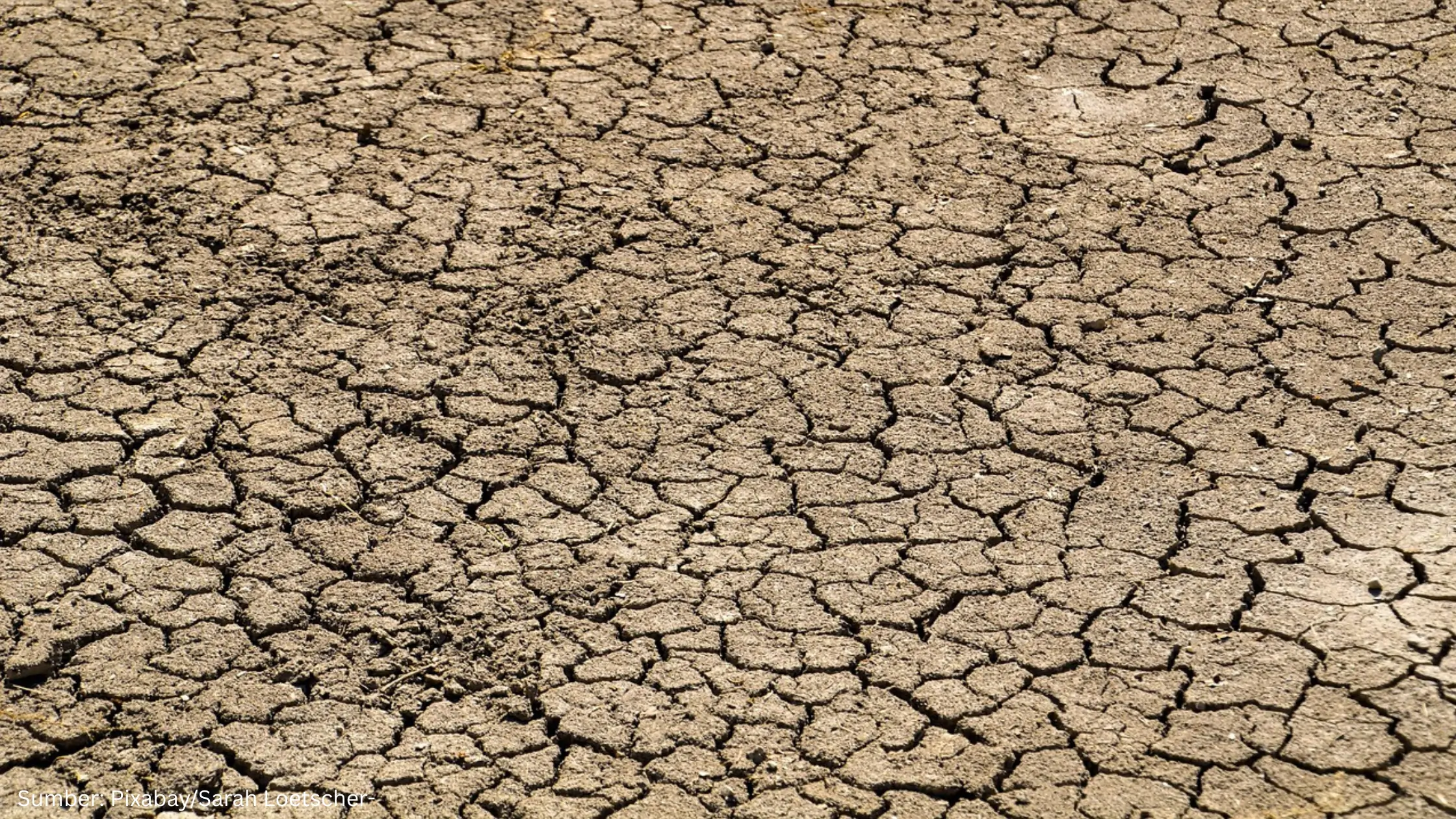 Musim Kemarau Datang Lebih Awal, BMKG Dorong Penguatan Sumber Daya Air