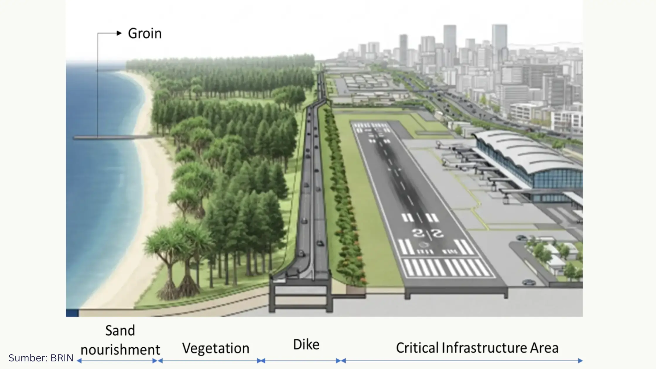 Nature-based Solutions Jadi Kunci Mitigasi Gelombang Ekstrem dan Tsunami di Bandara YIA