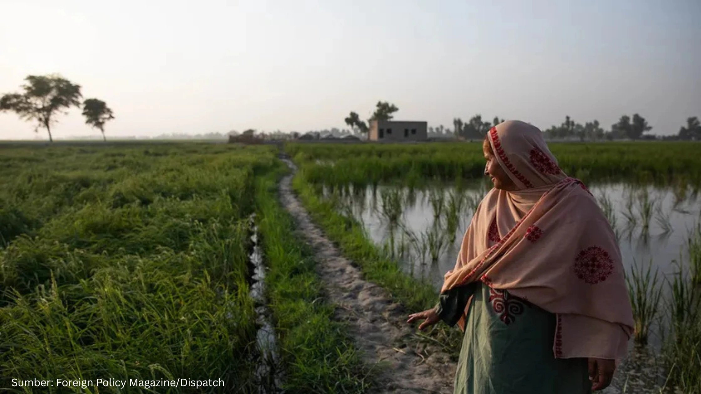 Pakistan Gandeng PBB untuk Pemanfaatan Teknologi Geospasial dalam Penanggulangan Bencana Banjir
