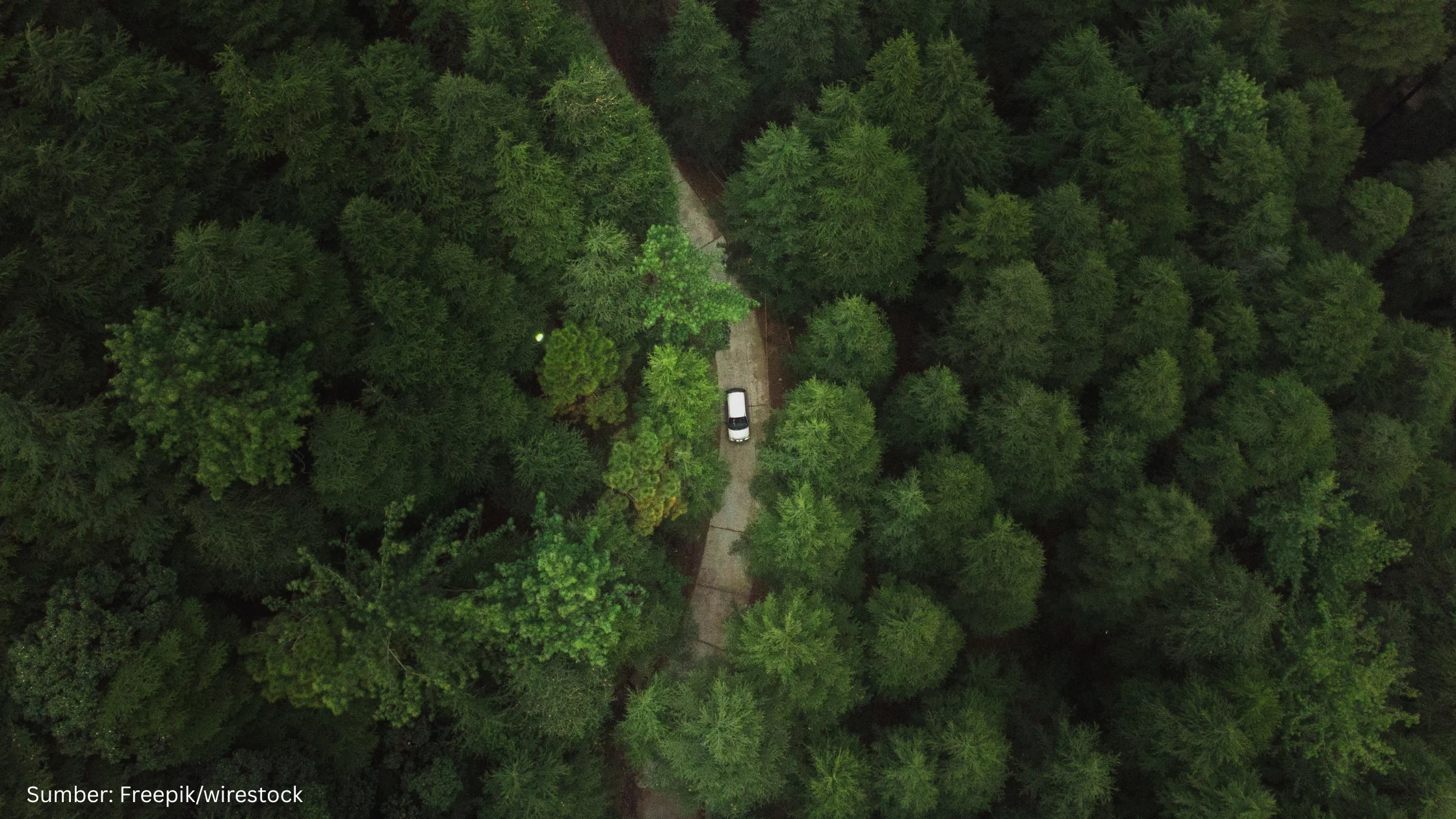 Pathfinder Jadi Navigasi Tanpa GPS yang Siap Ubah Masa Depan Kendaraan Otonom