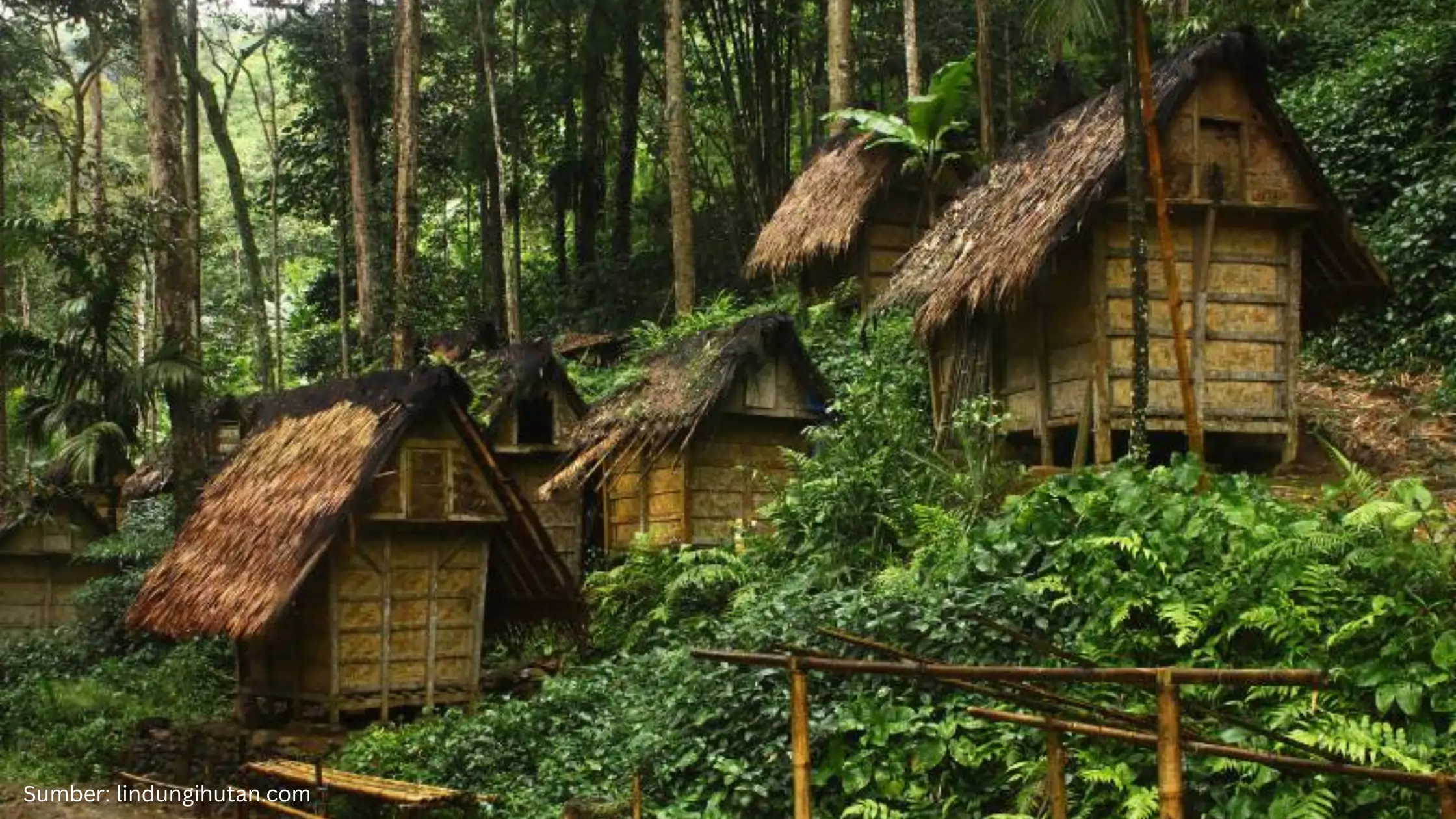 Pemetaan Hutan Adat Didorong Masuk Satu Data Indonesia, Apa Urgensinya?