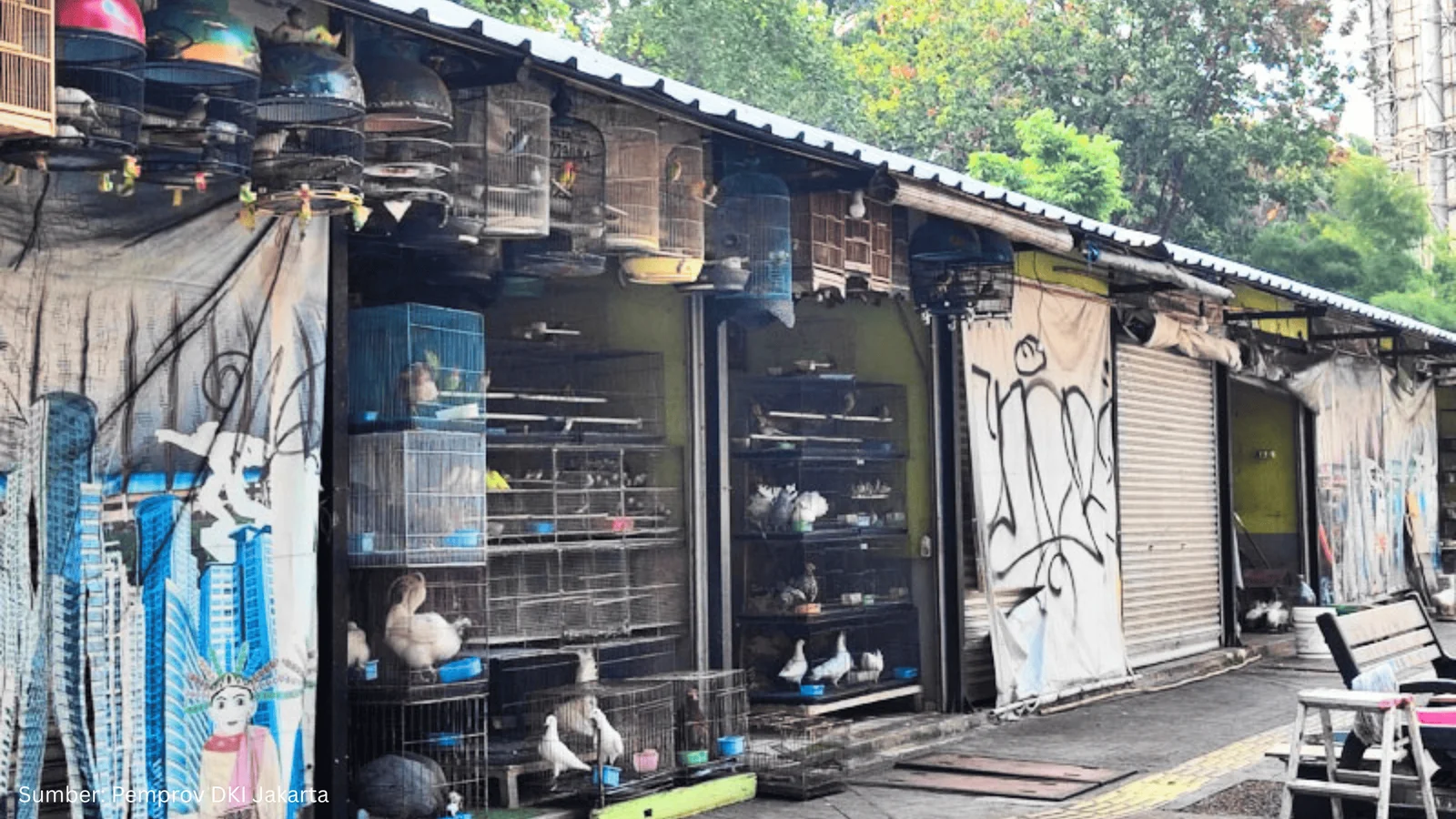 Pemprov DKI Jakarta Atur Ulang Tata Kota untuk Optimalisasi Ruang Terbuka Hijau