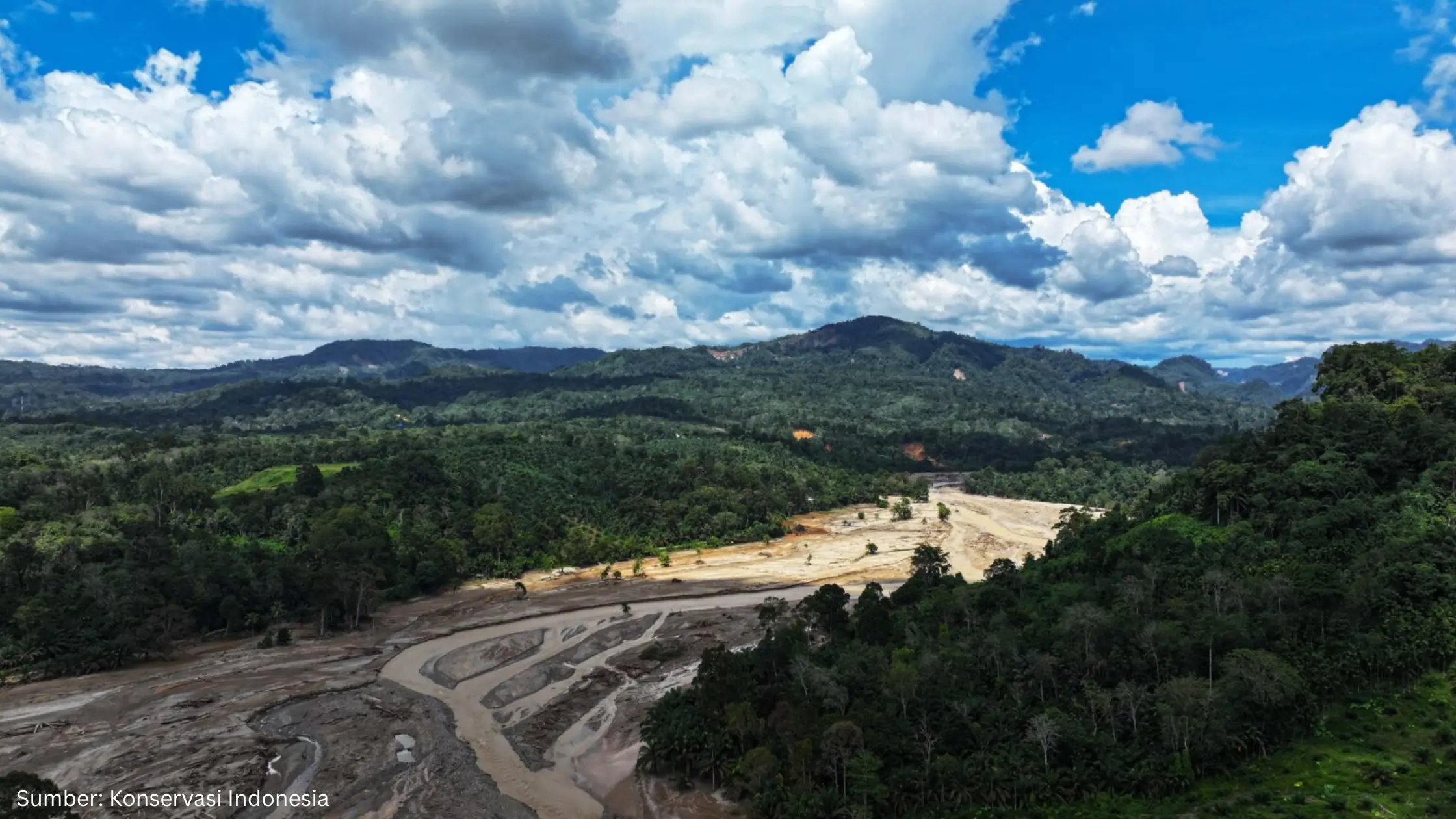 Pemulihan Pascabencana Batang Toru Dinilai Perlu Kajian Menyeluruh dan Penataan Ruang Berbasis Ekologi