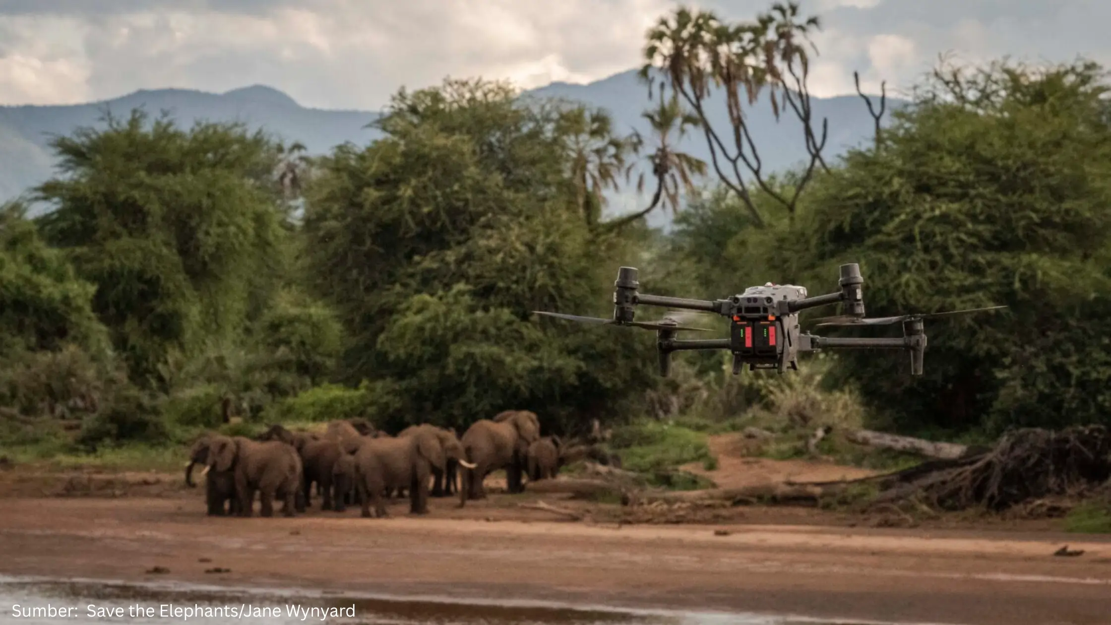 Penelitian dari Oxford Ungkap Bahwa Drone Bisa Dimanfaatkan untuk Konservasi Gajah
