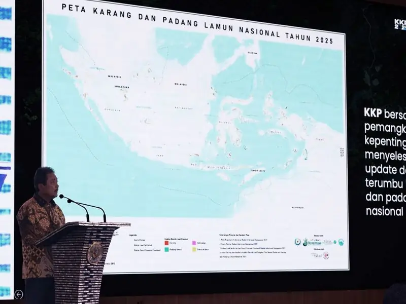 Perkuat Ekosistem Laut dan Mitigasi Perubahan Iklim, Indonesia Kini Punya Peta Karang dan Padang Lamun