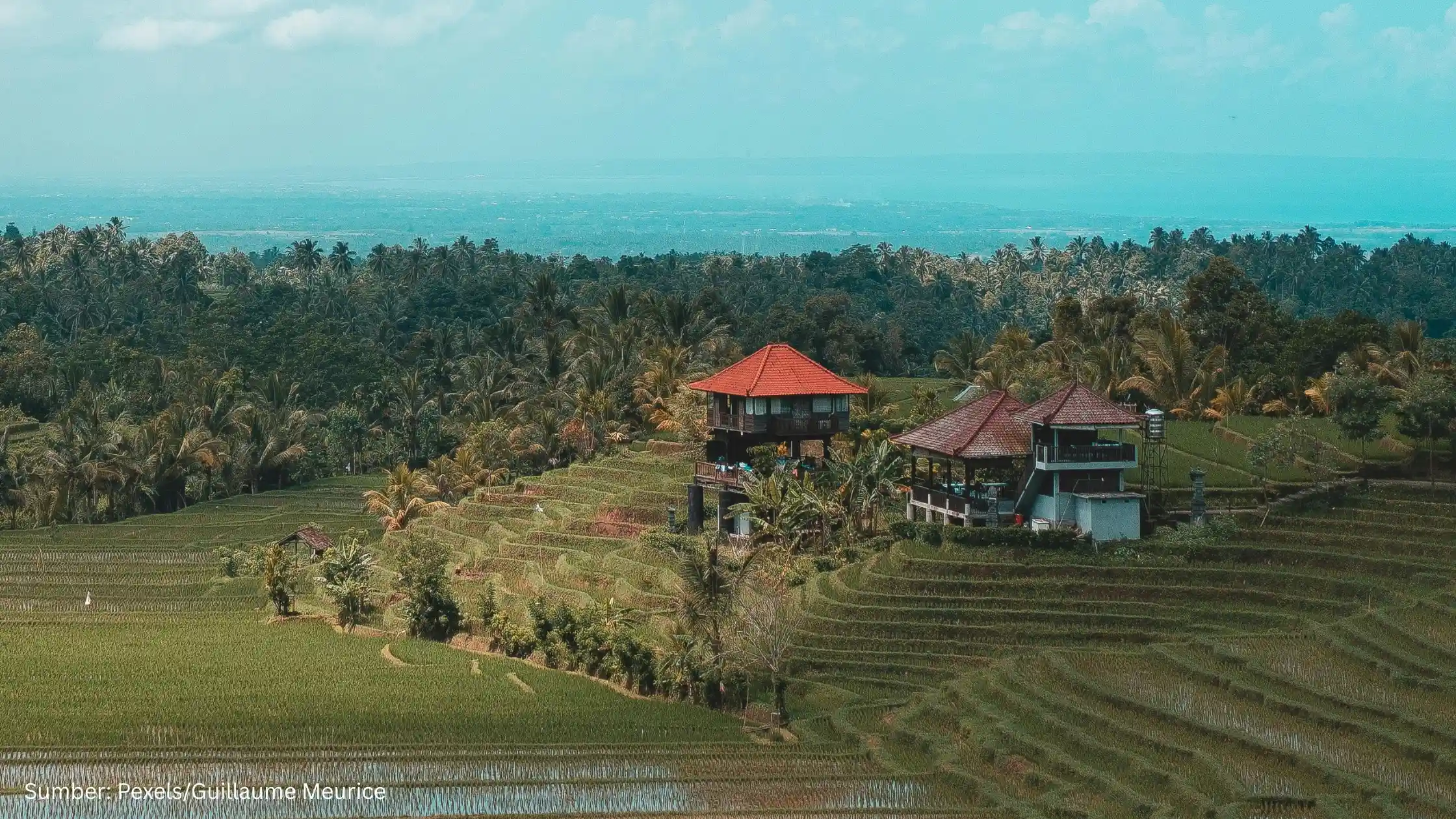PHRI Desak Pembenahan Tata Ruang Bali, ATR/BPN Stop Sementara Alih Fungsi Lahan