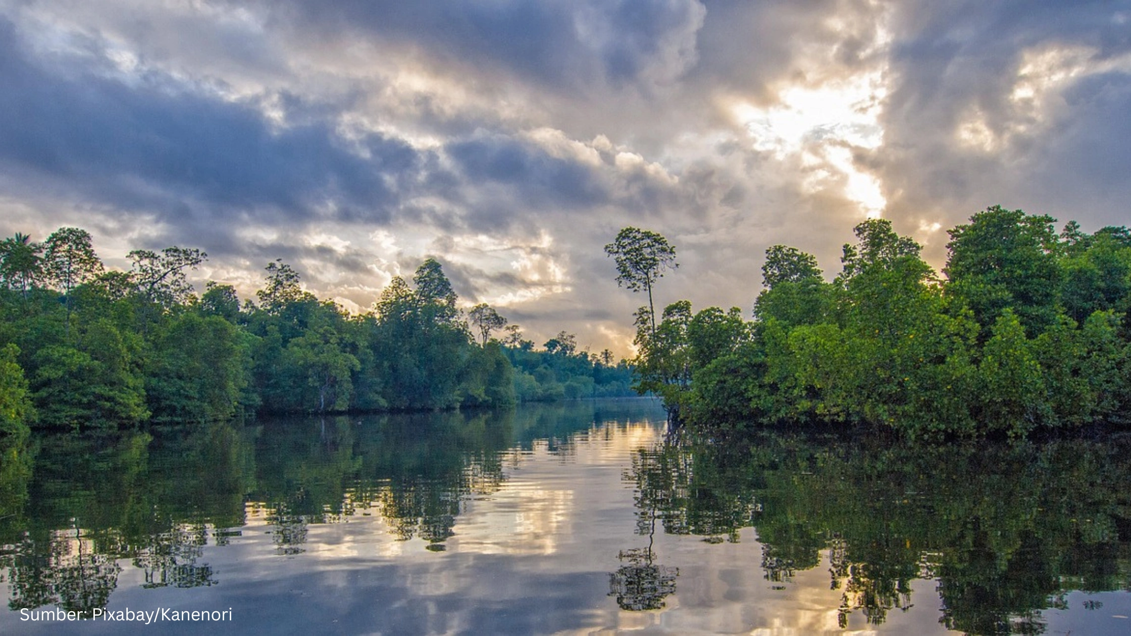 Rehabilitasi Mangrove Banten Manfaatkan Open Street Map