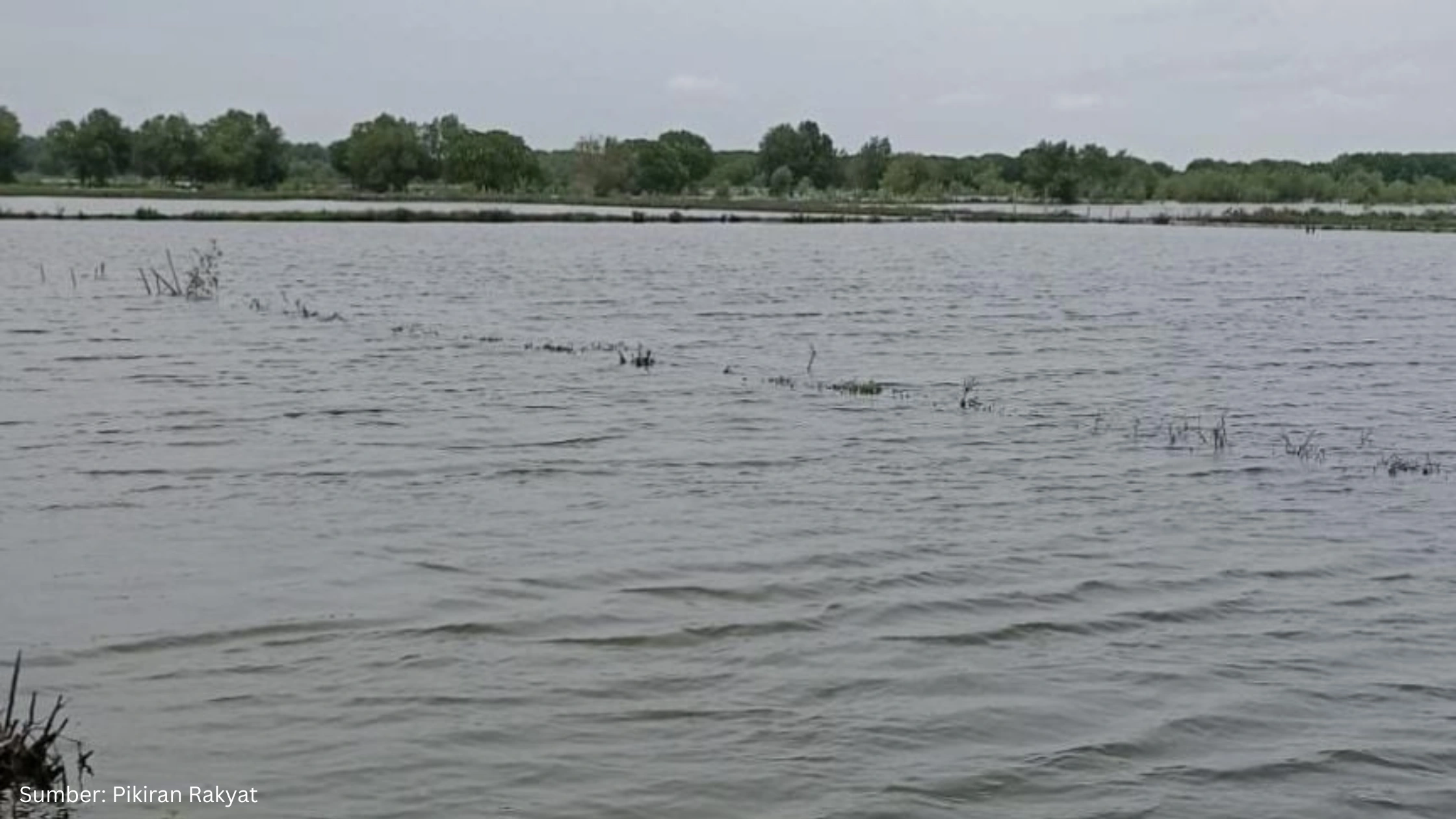 Rob Tenggelamkan Ratusan Hektare Lahan Pertanian, Pemerintah Didesak Realisasikan Giant Sea Wall