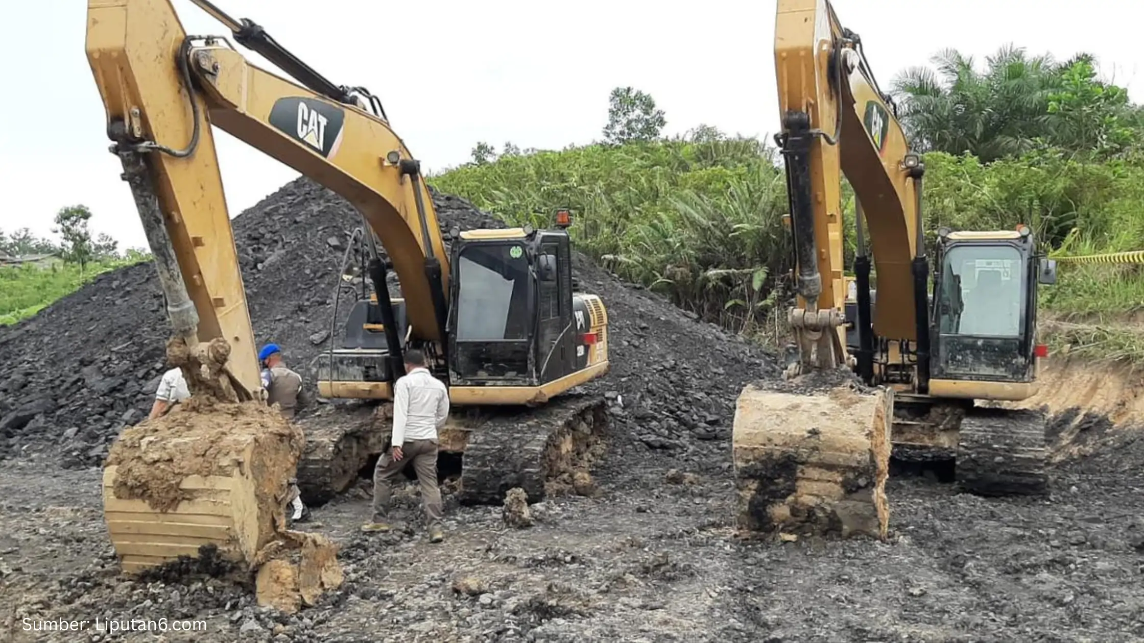 Rugikan Ekosistem dan Tata Ruang, KLH Bekukan 80 Izin Tambang Batu Bara dan Nikel