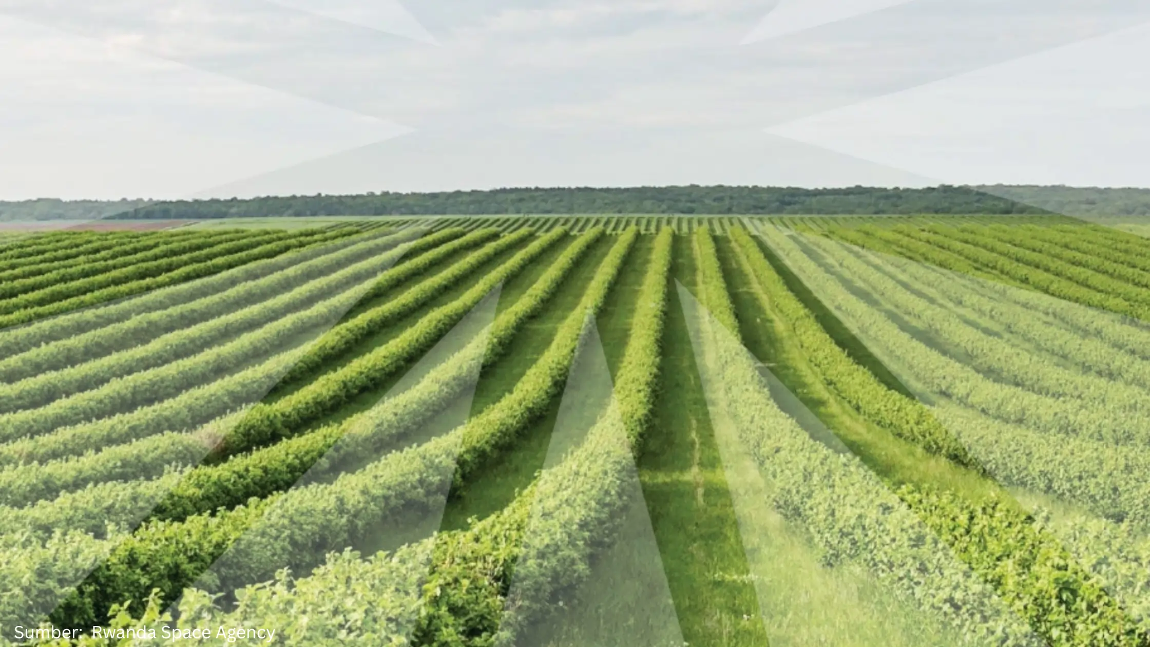 Rwanda Tempatkan GeoAI sebagai Fondasi Baru Tata Kelola Pertanian