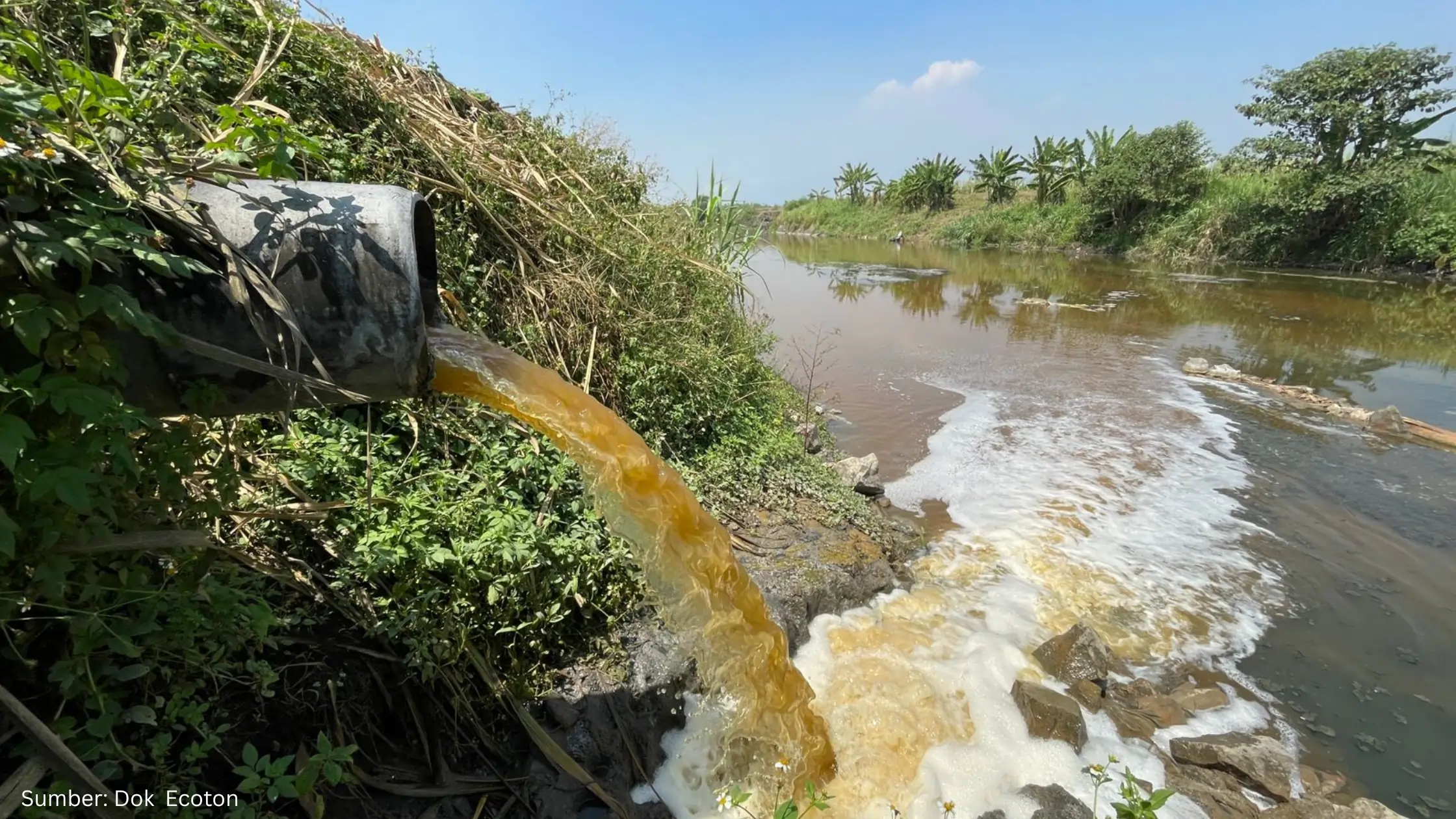 Tanah, Udara, dan Sungai 5 Kabupaten di Provinsi Banten Tercemar Zat Berbahaya