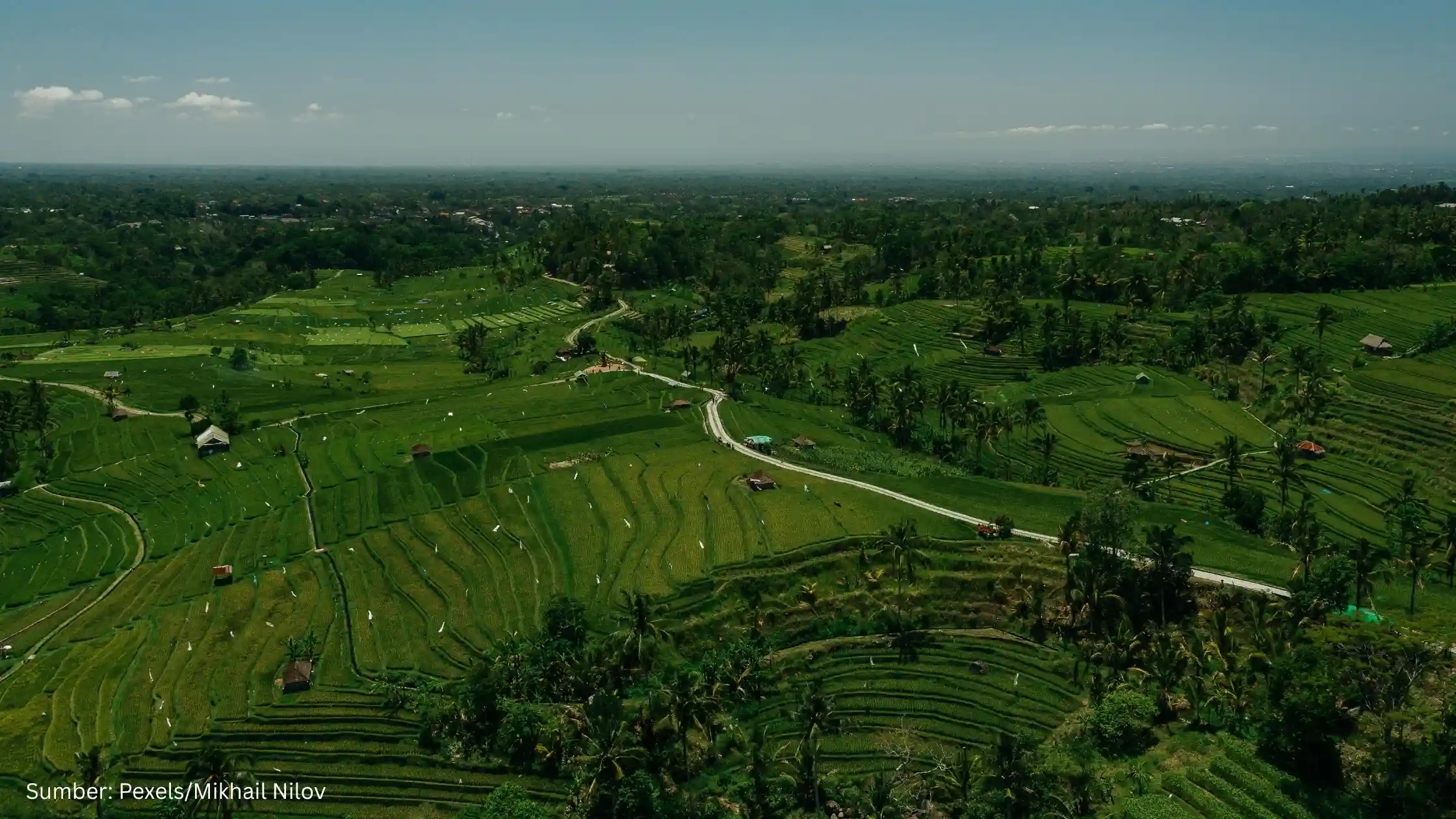 Teknologi Pemetaan Tanah Berbasis AI Jadi Solusi Pertanian di Era Perubahan Iklim