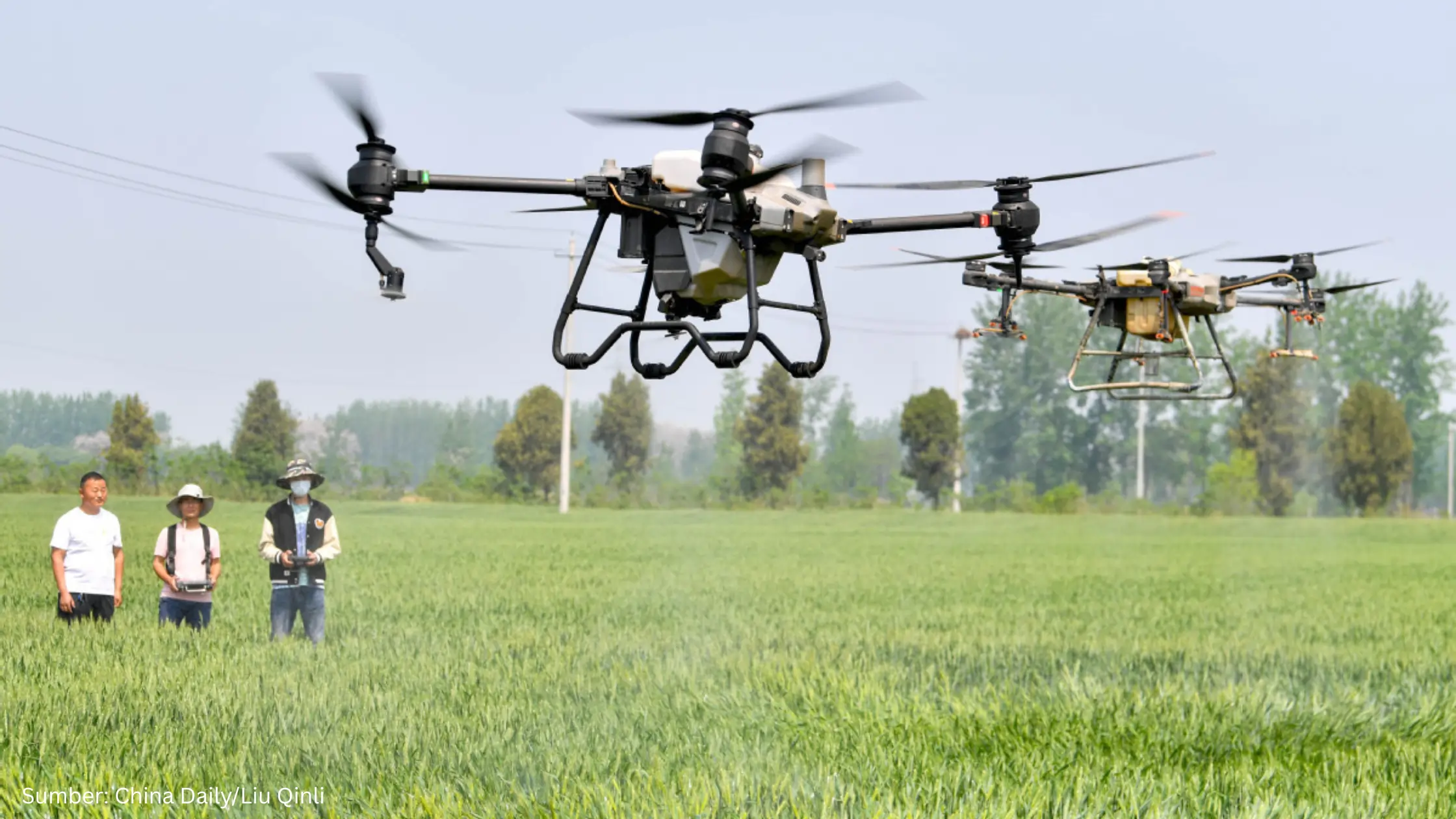 Tiongkok Mulai Gunakan Drone dan Robot untuk Kebijakan Pertanian 2026